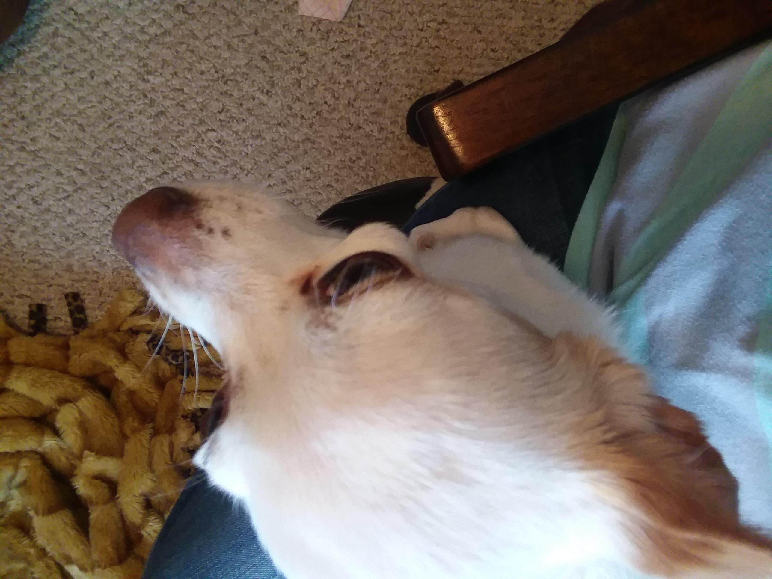 Question details sensitive content