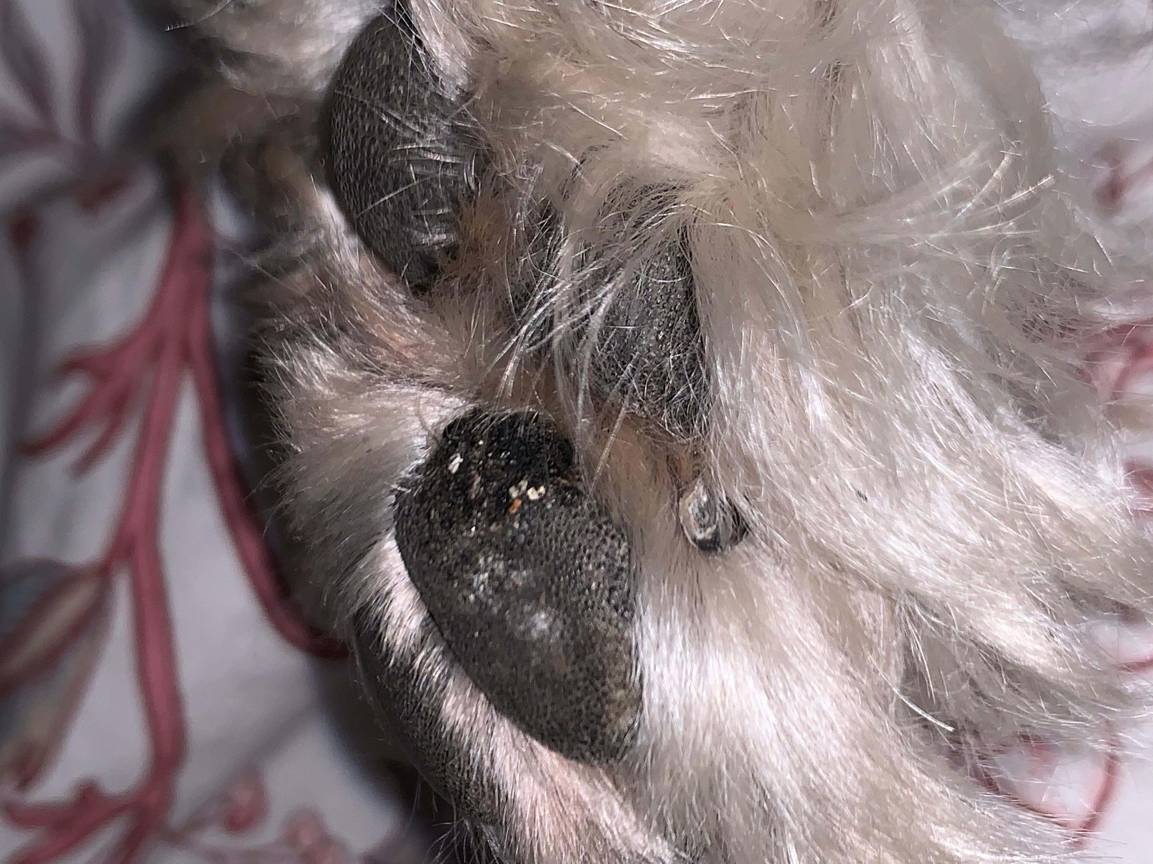 Question details sensitive content