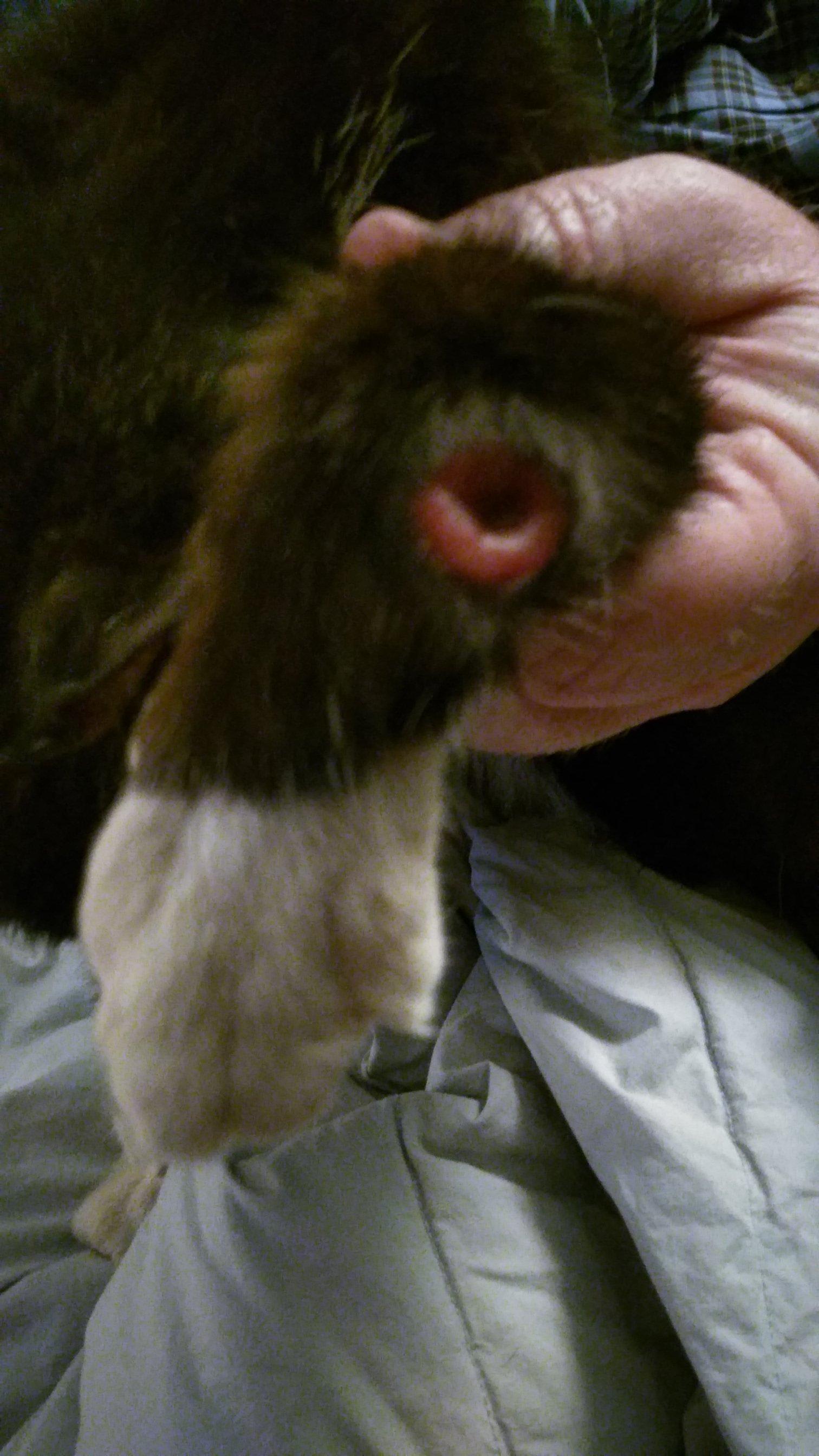 Question details sensitive content