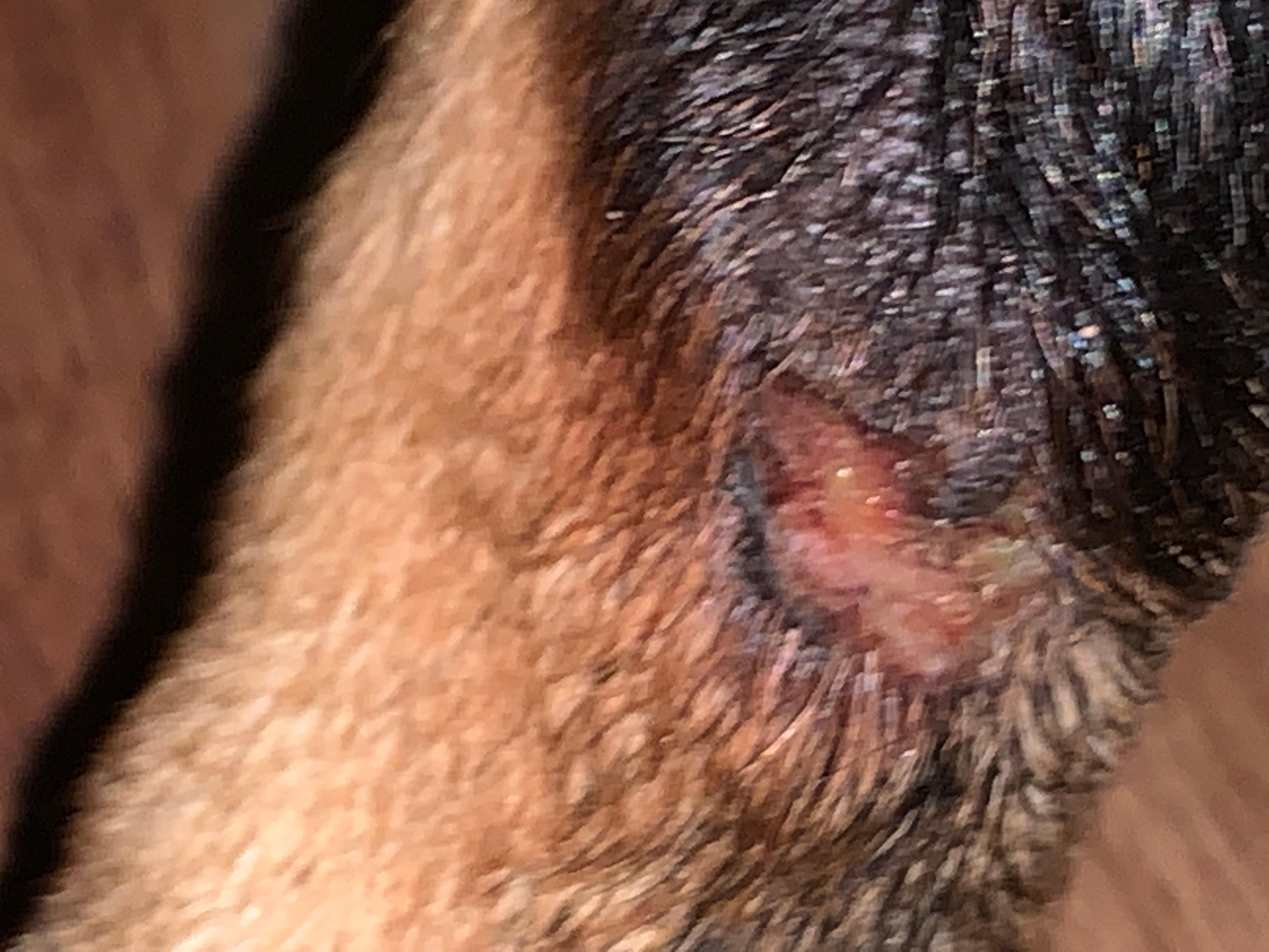 Question details sensitive content