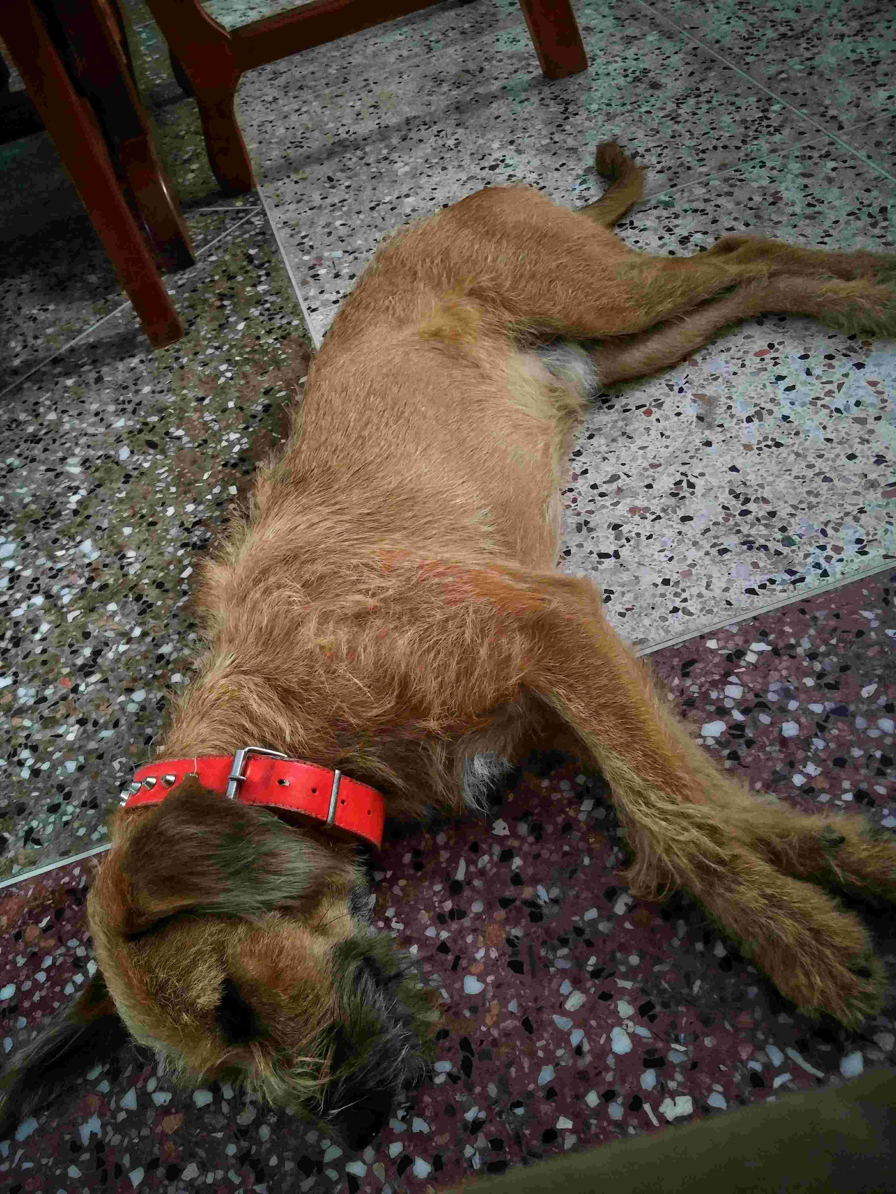 Question details sensitive content