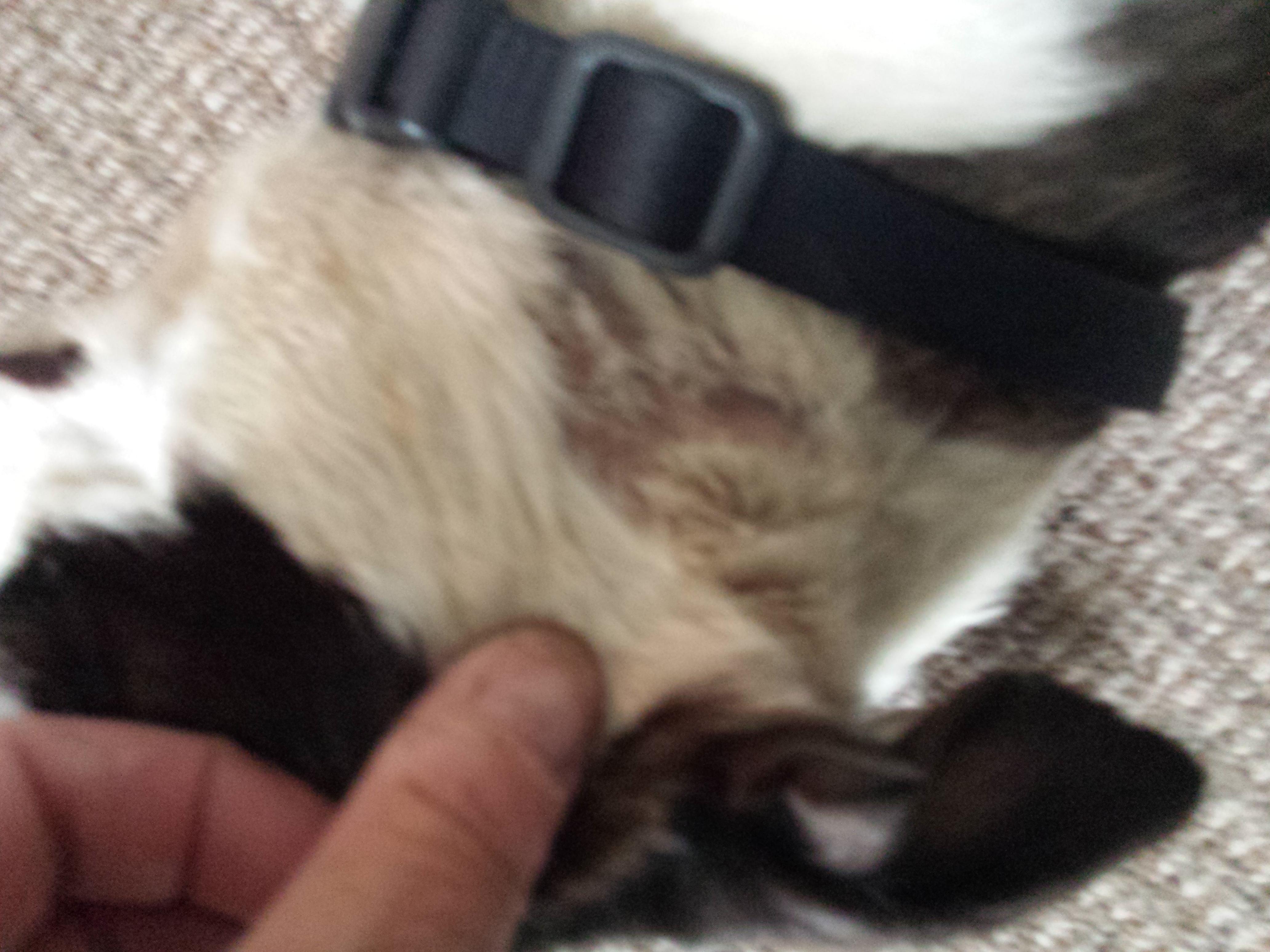 Question details sensitive content