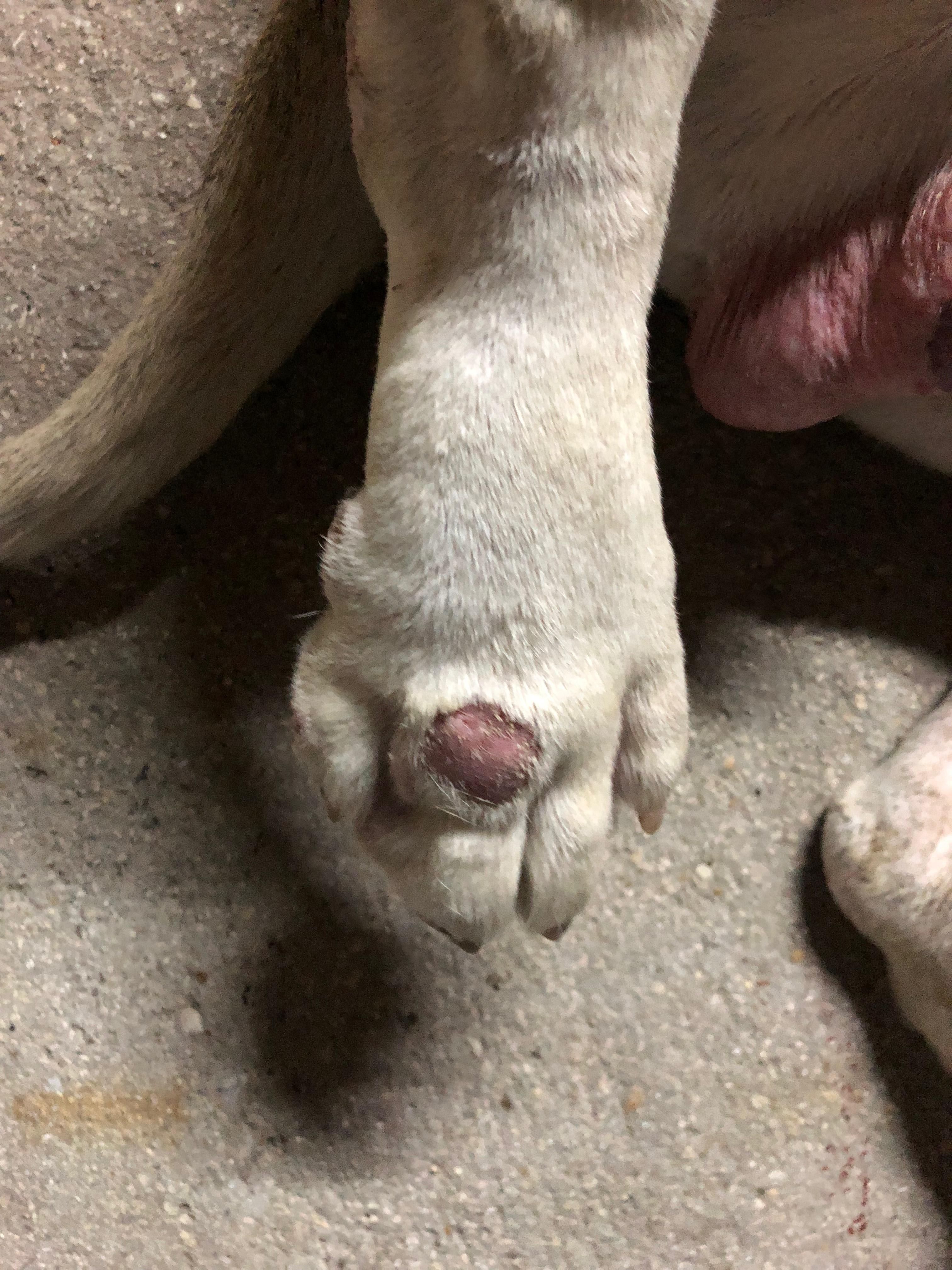 Question details sensitive content