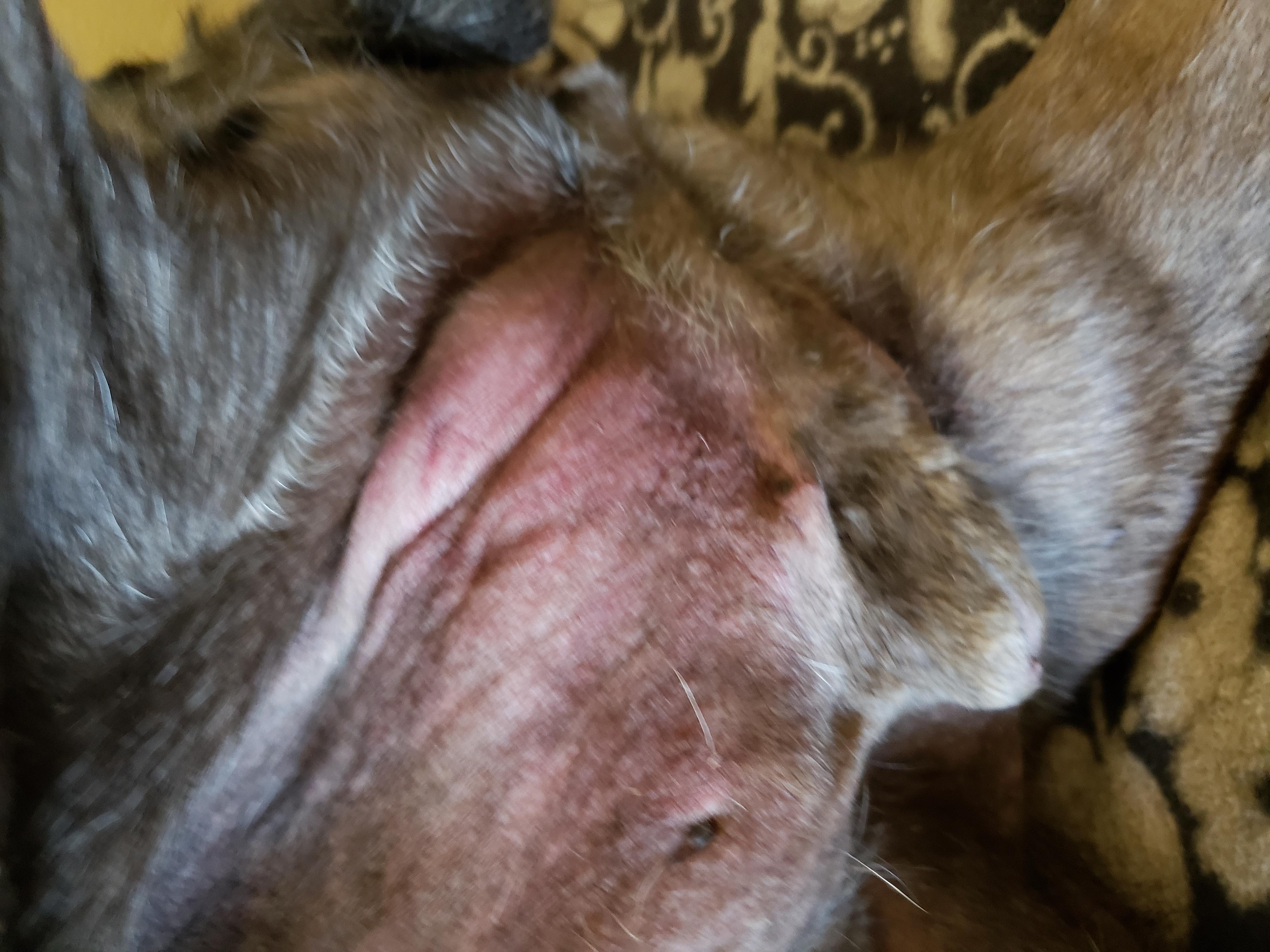 Question details sensitive content