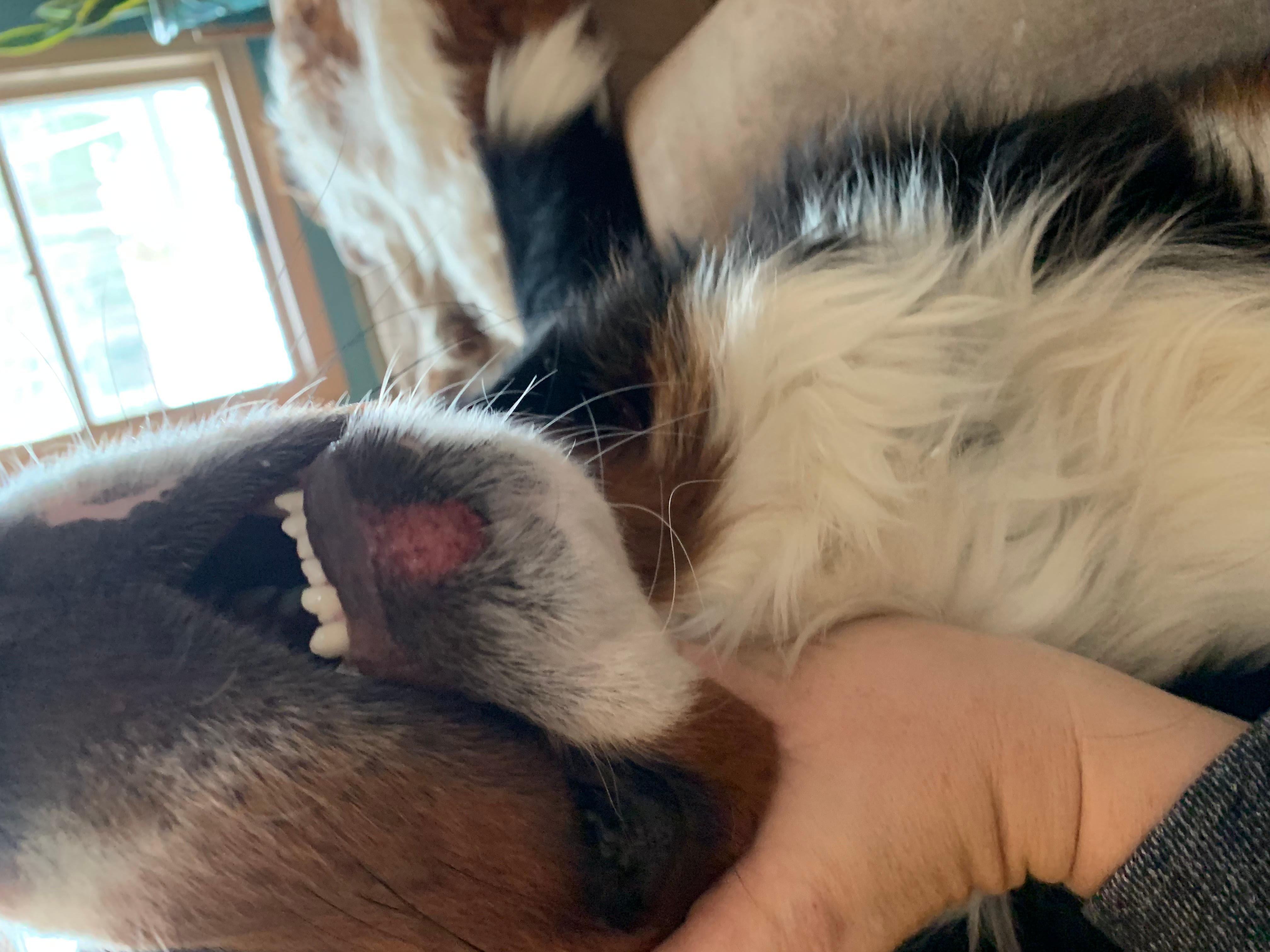 Question details sensitive content