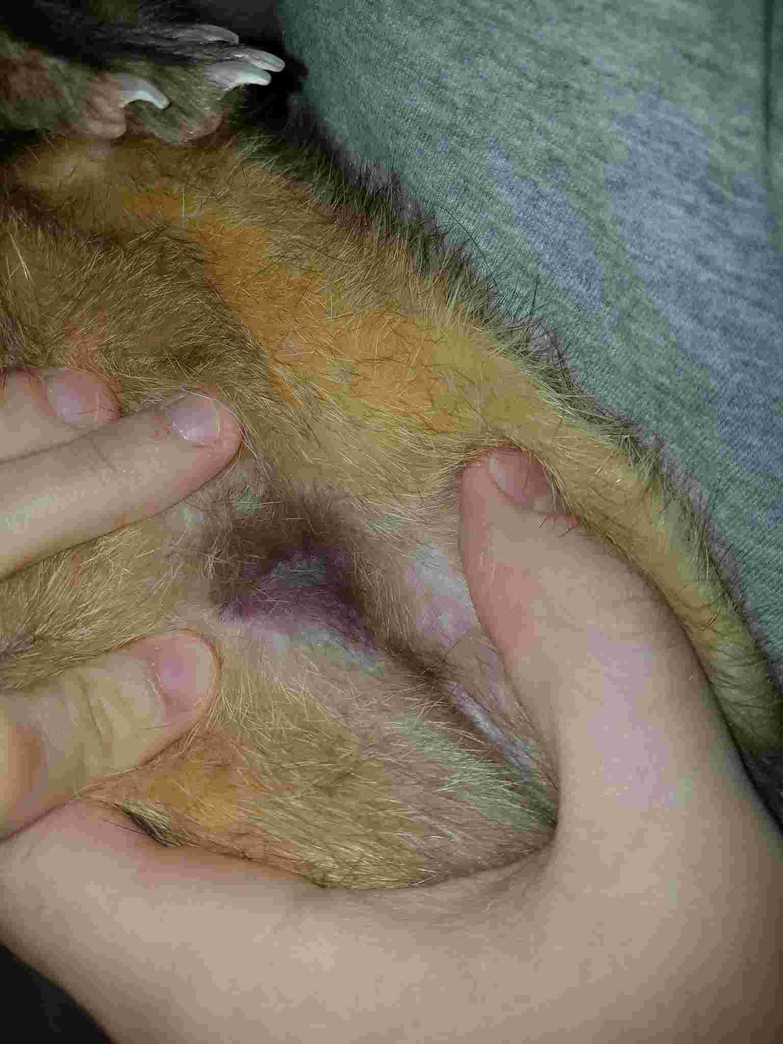 Question details sensitive content