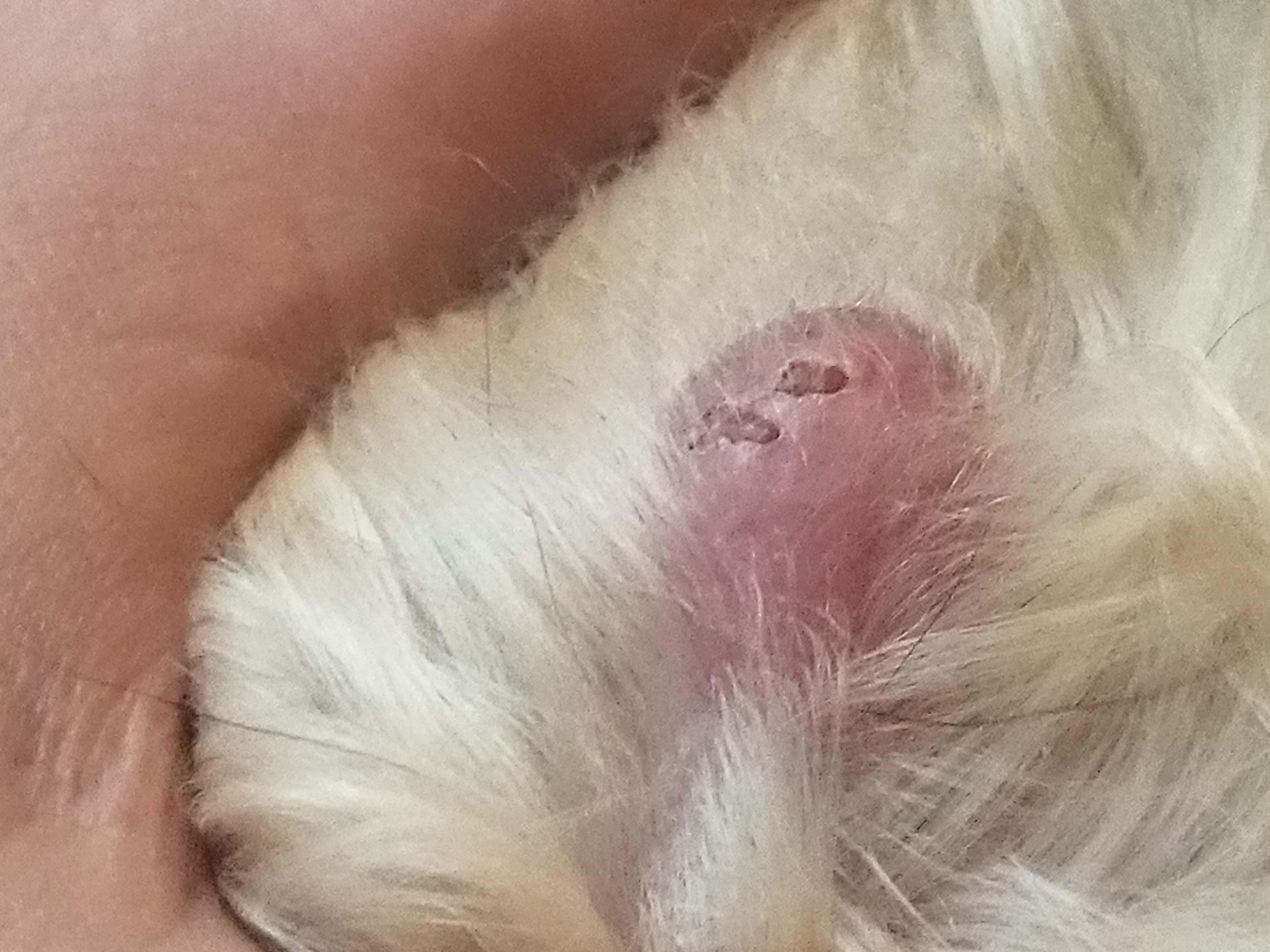 Question details sensitive content