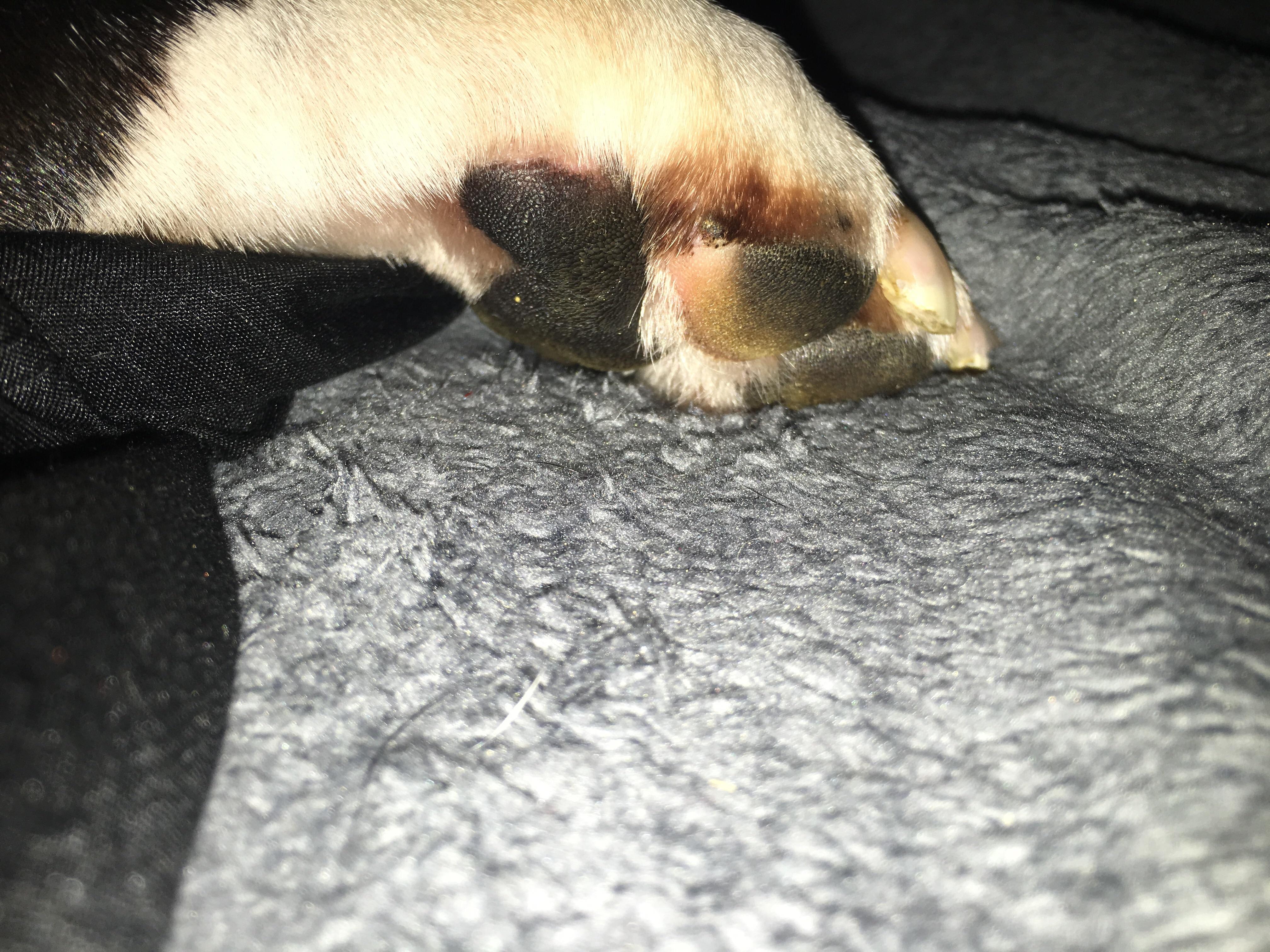 Question details sensitive content