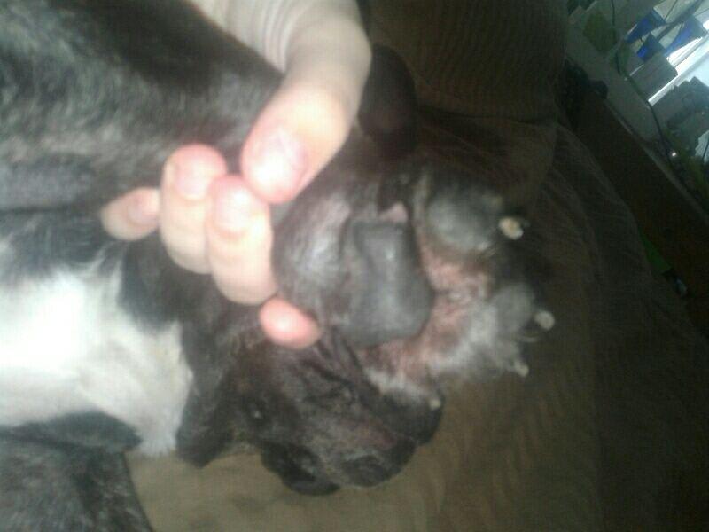 Question details sensitive content