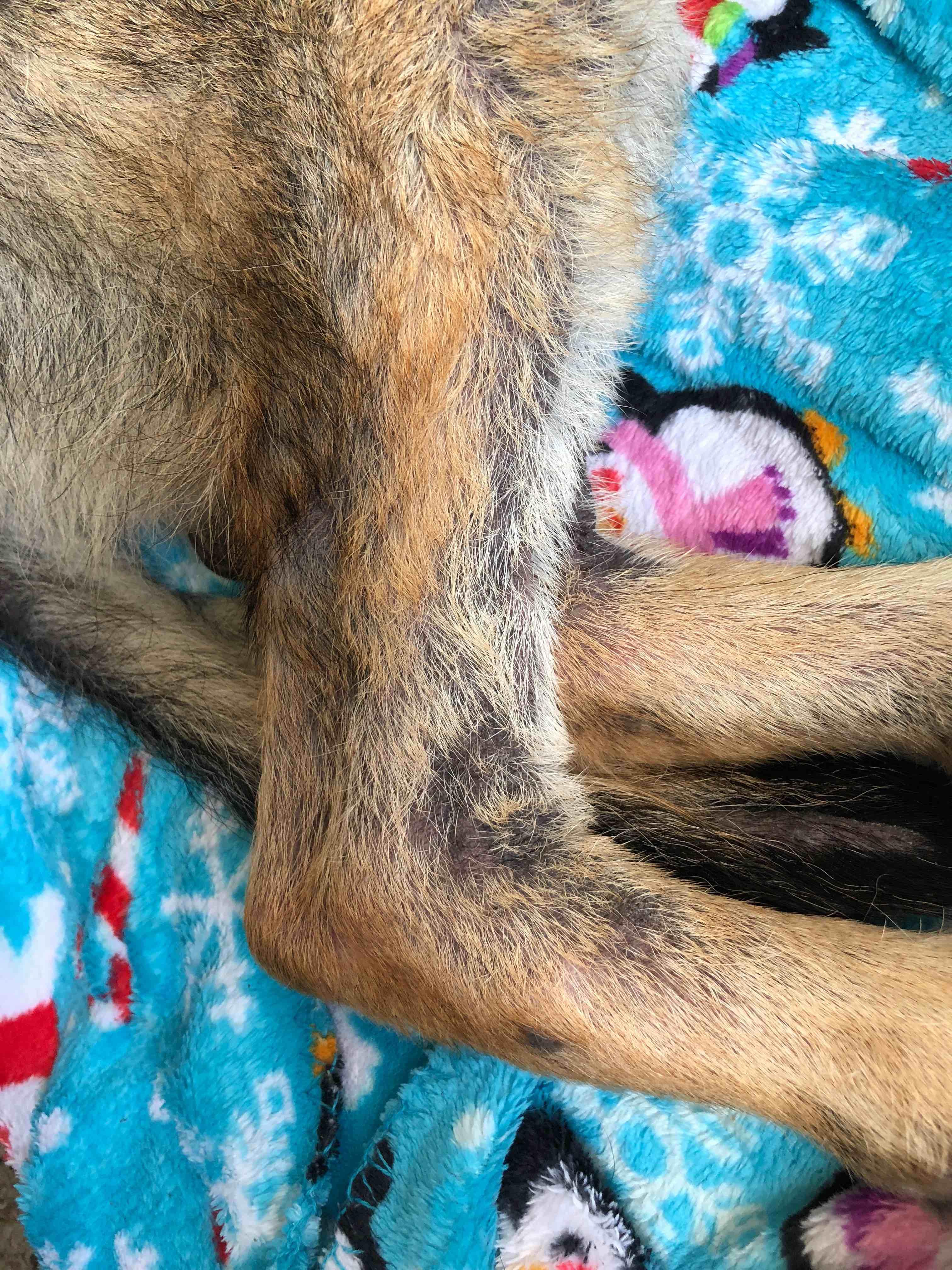 Question details sensitive content