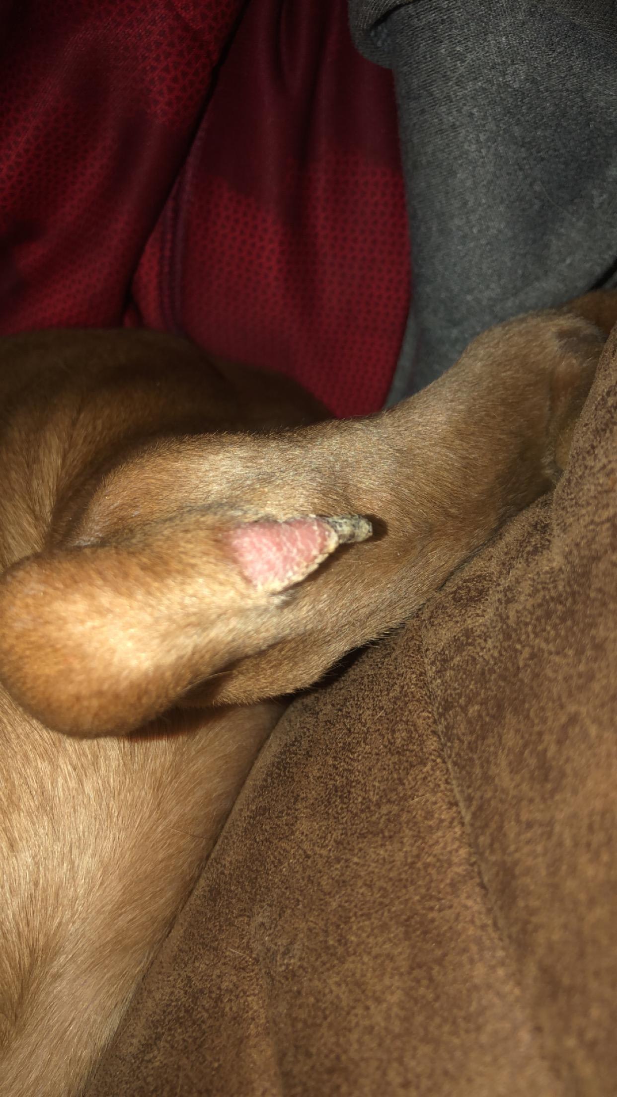 Question details sensitive content