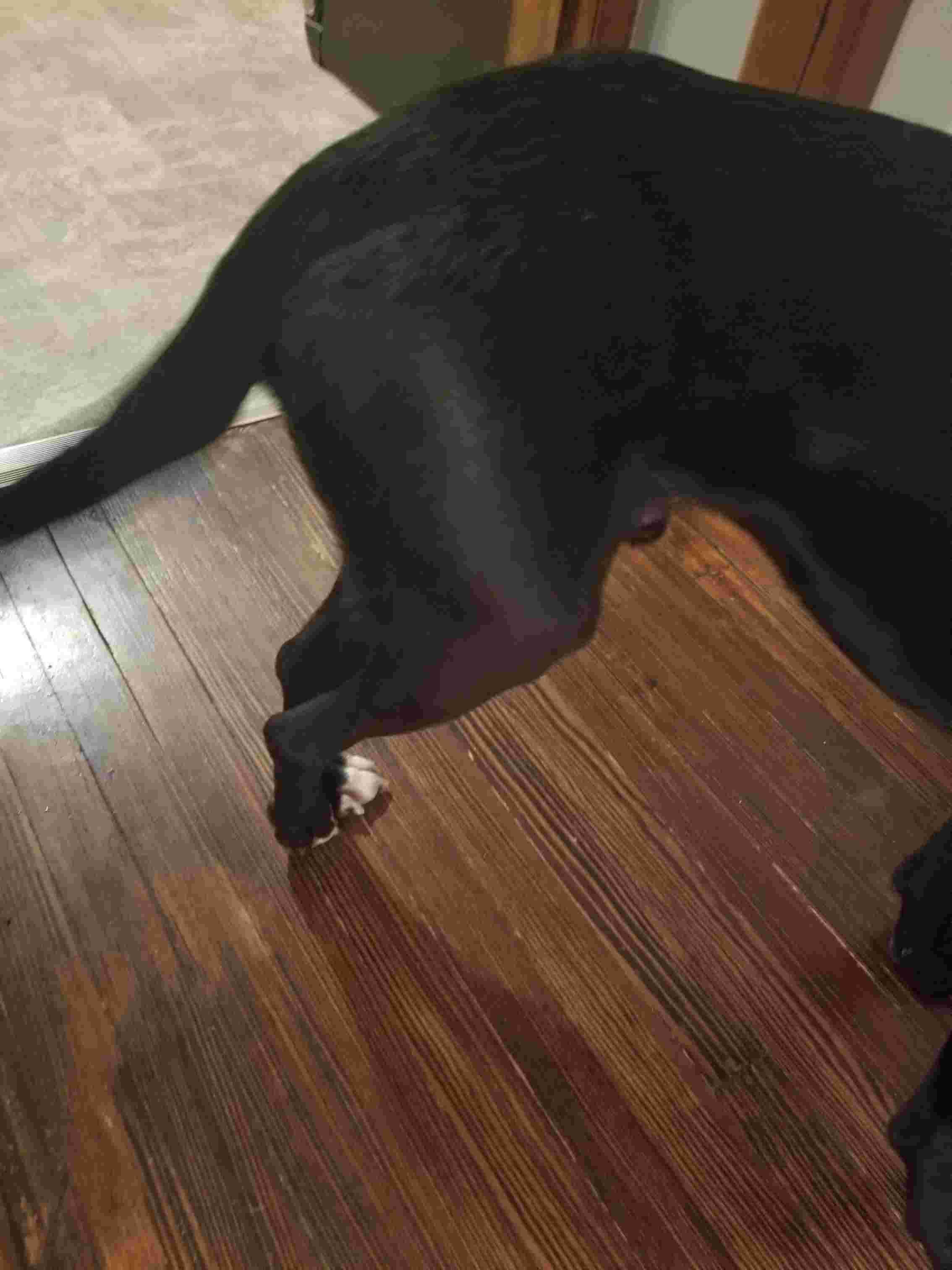 Question details sensitive content