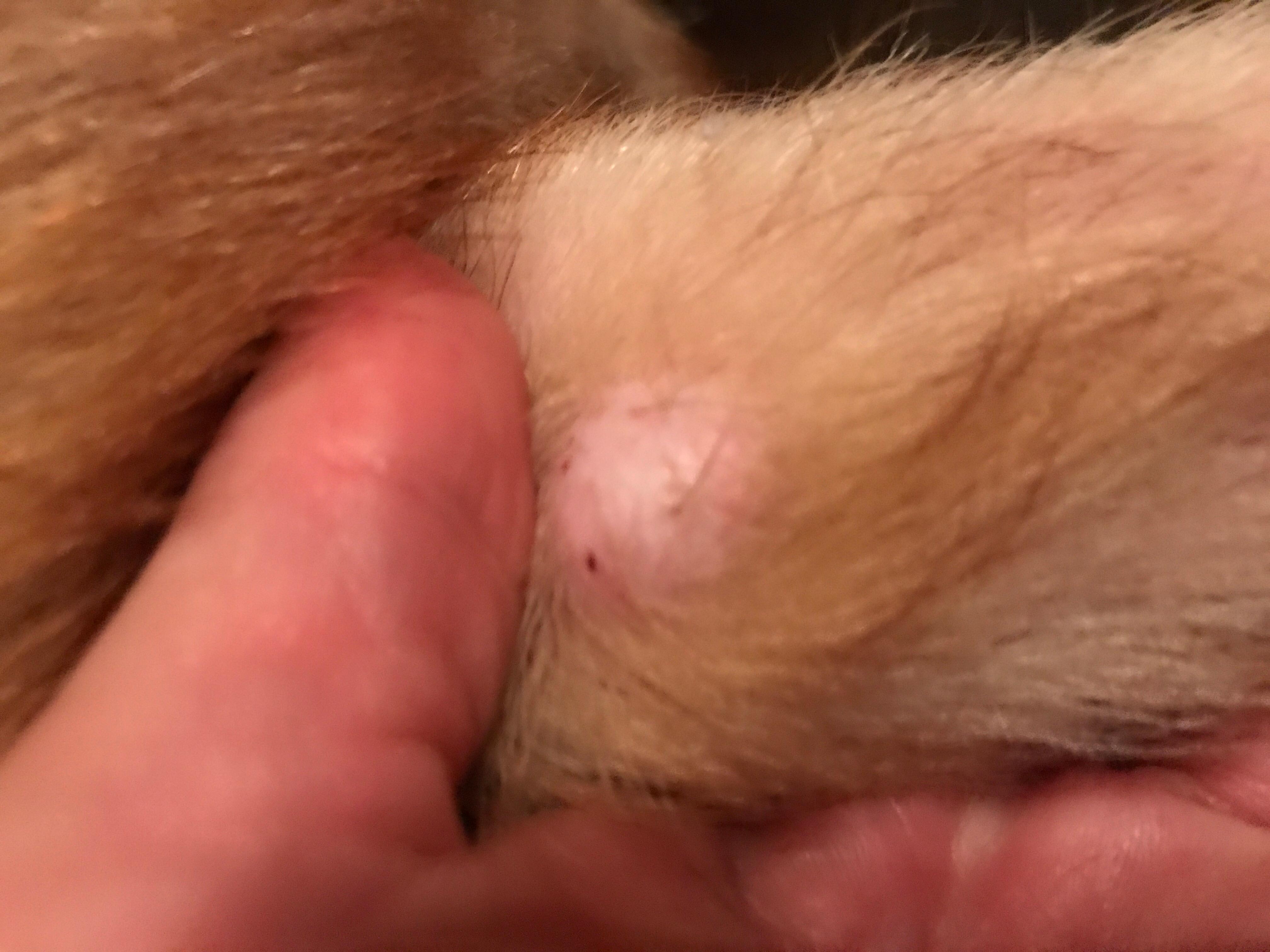 Question details sensitive content