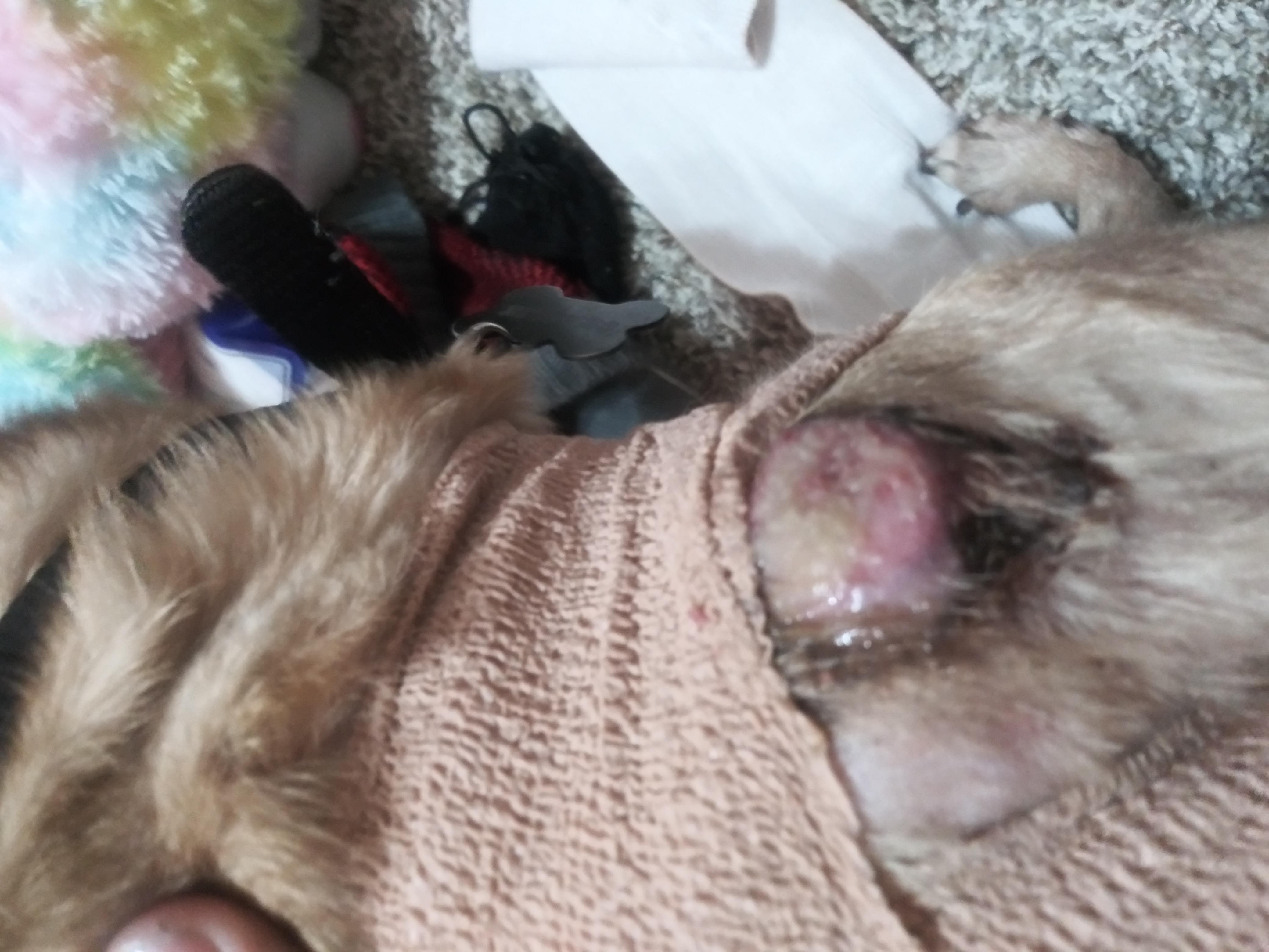 Question details sensitive content