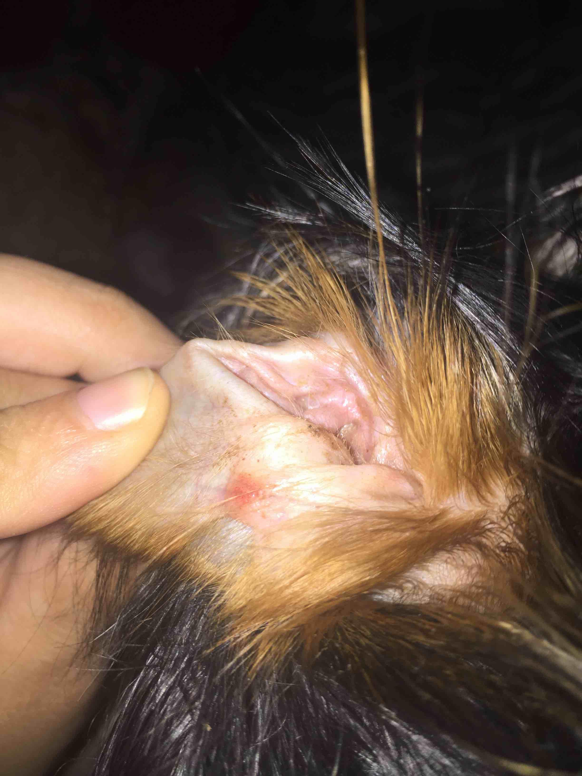 Question details sensitive content