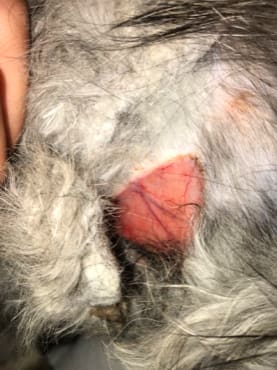 Question details sensitive content