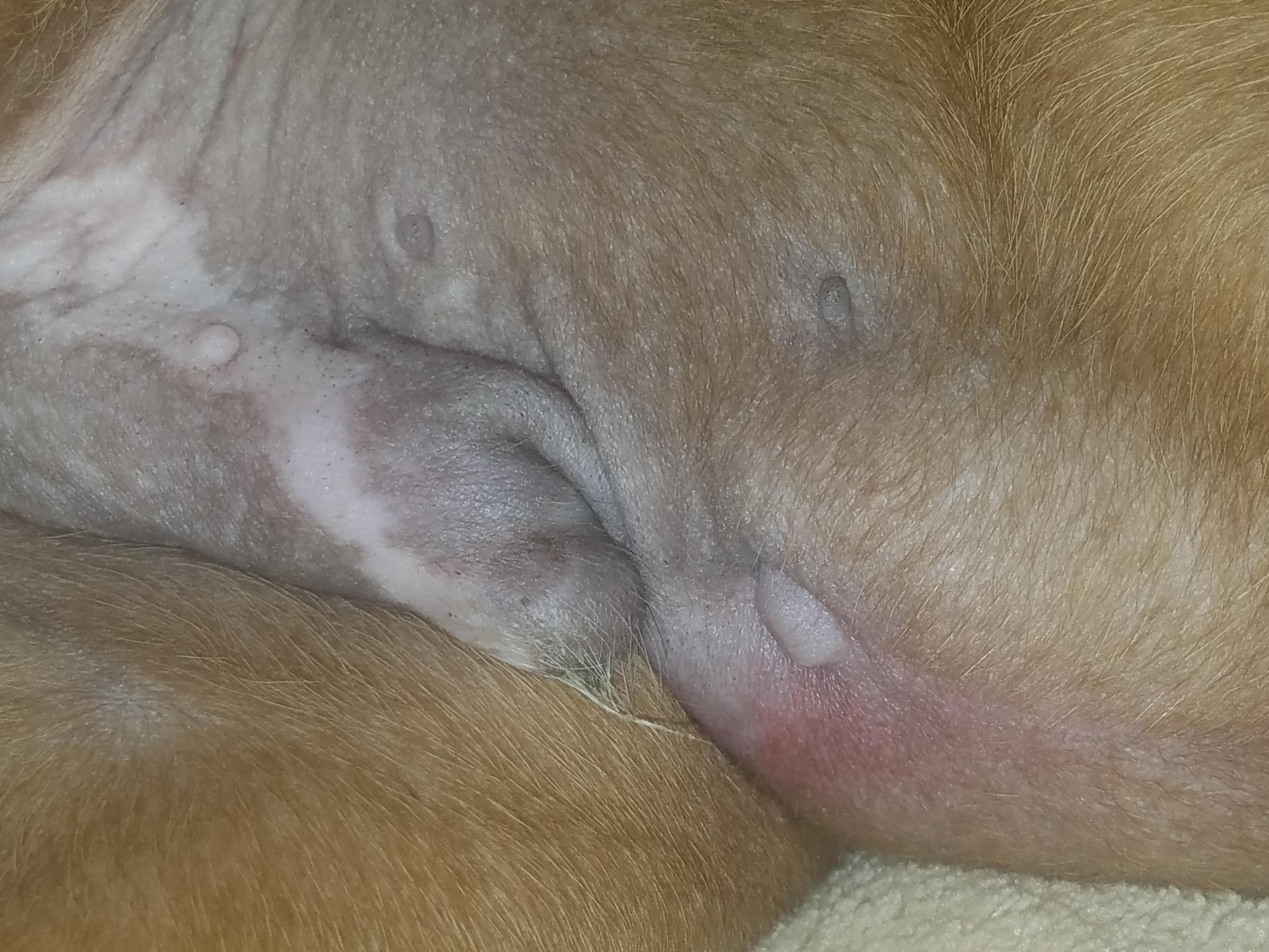 Question details sensitive content