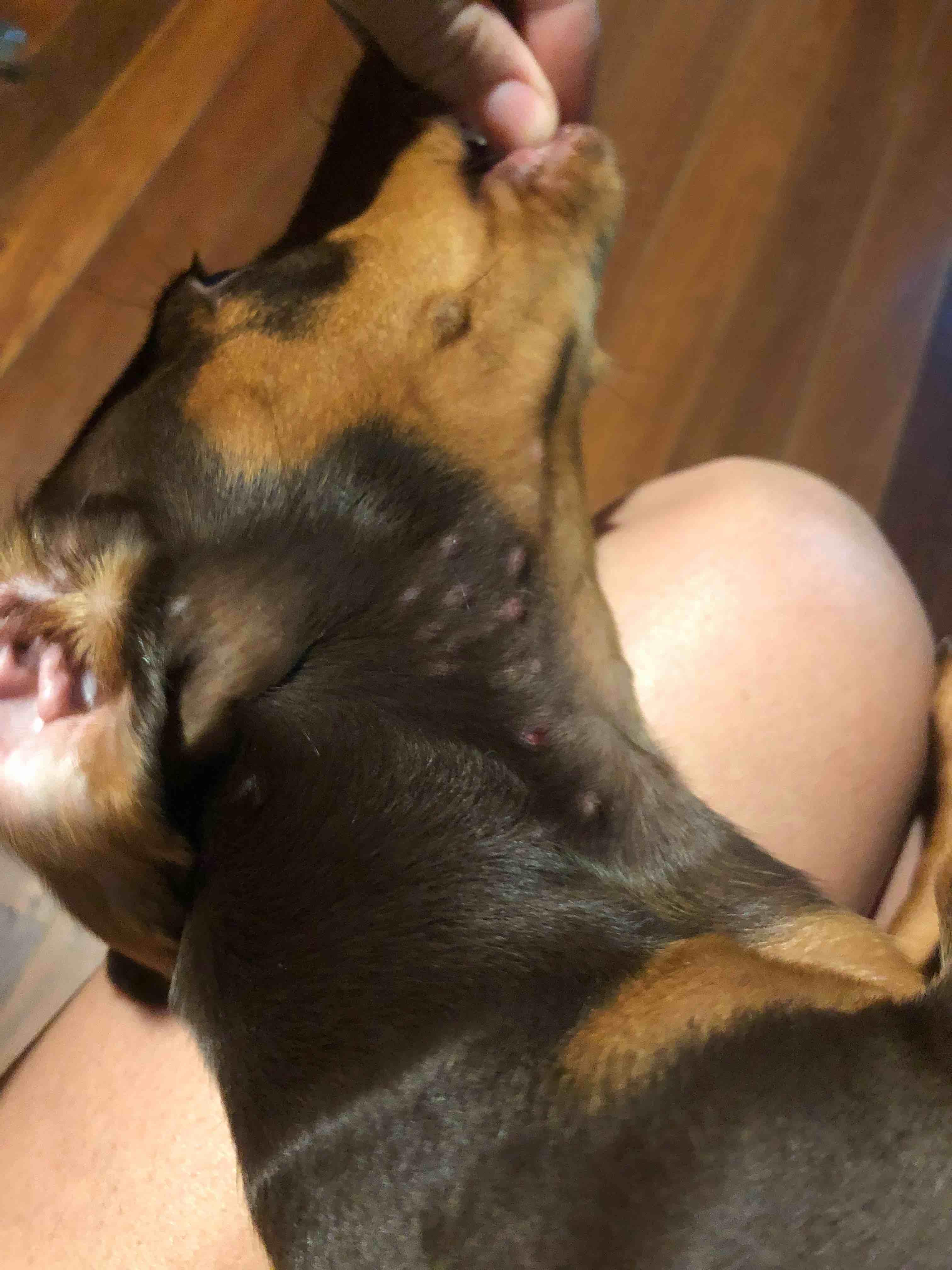 Question details sensitive content