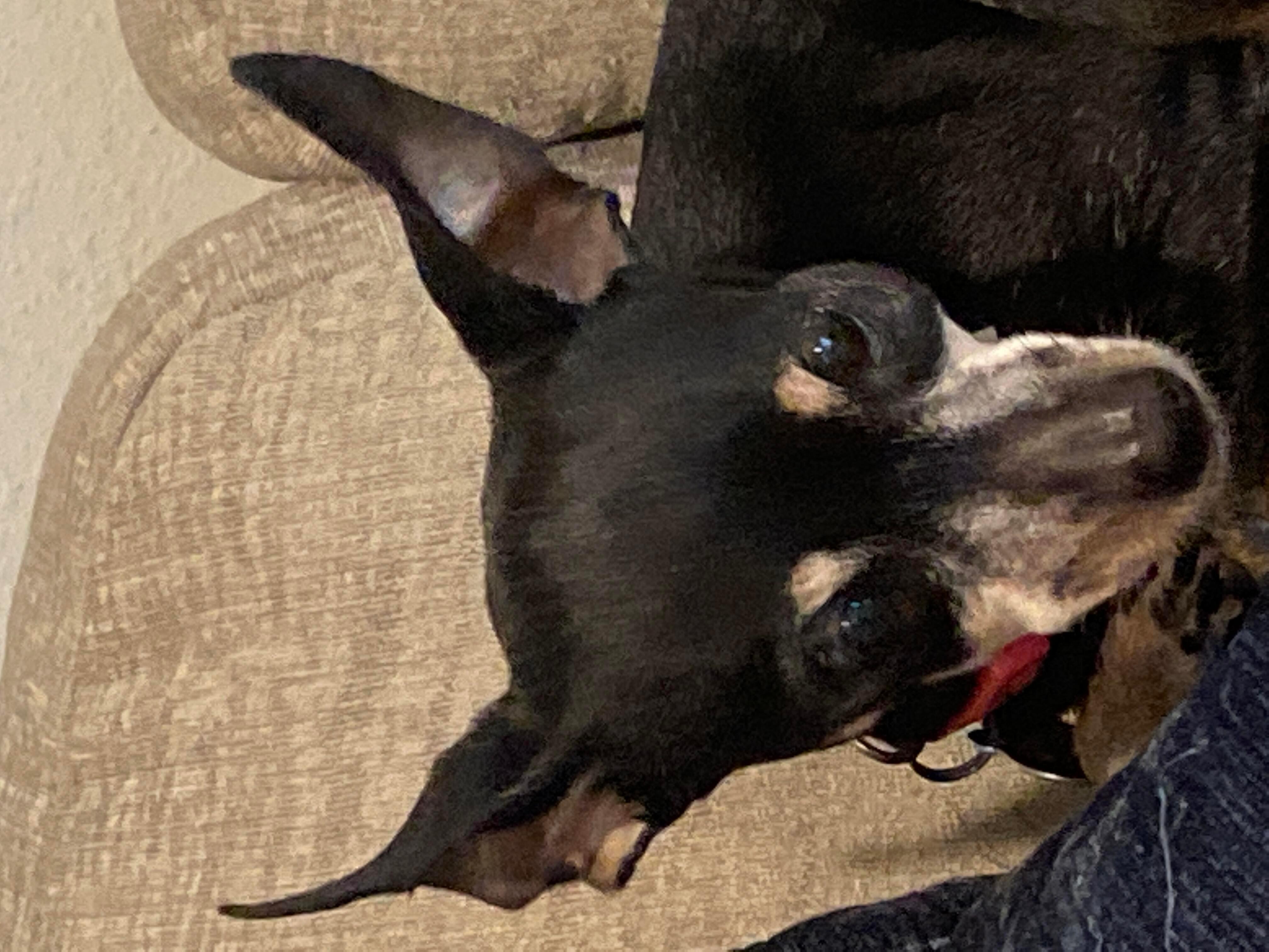 Question details sensitive content