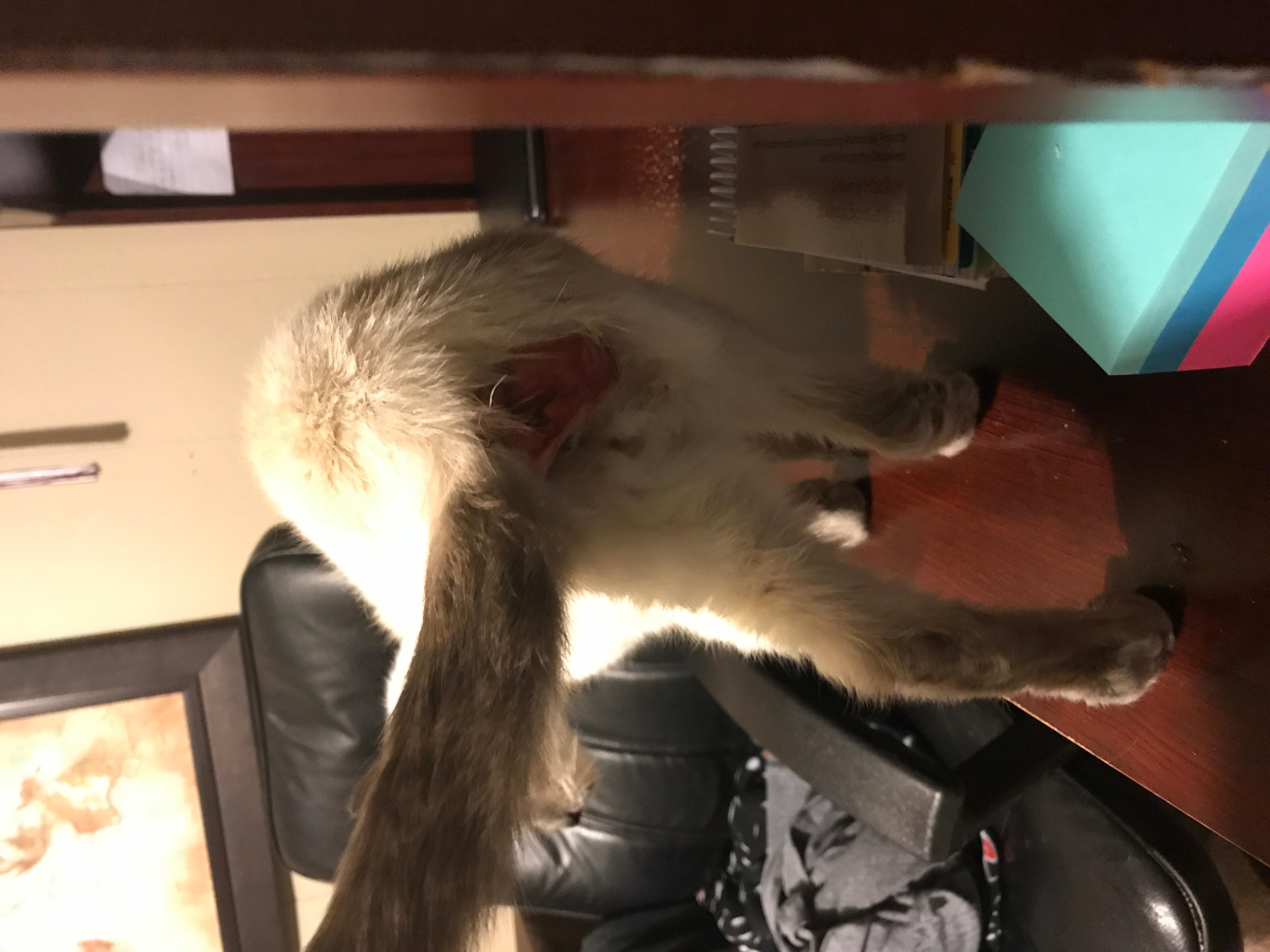 Question details sensitive content