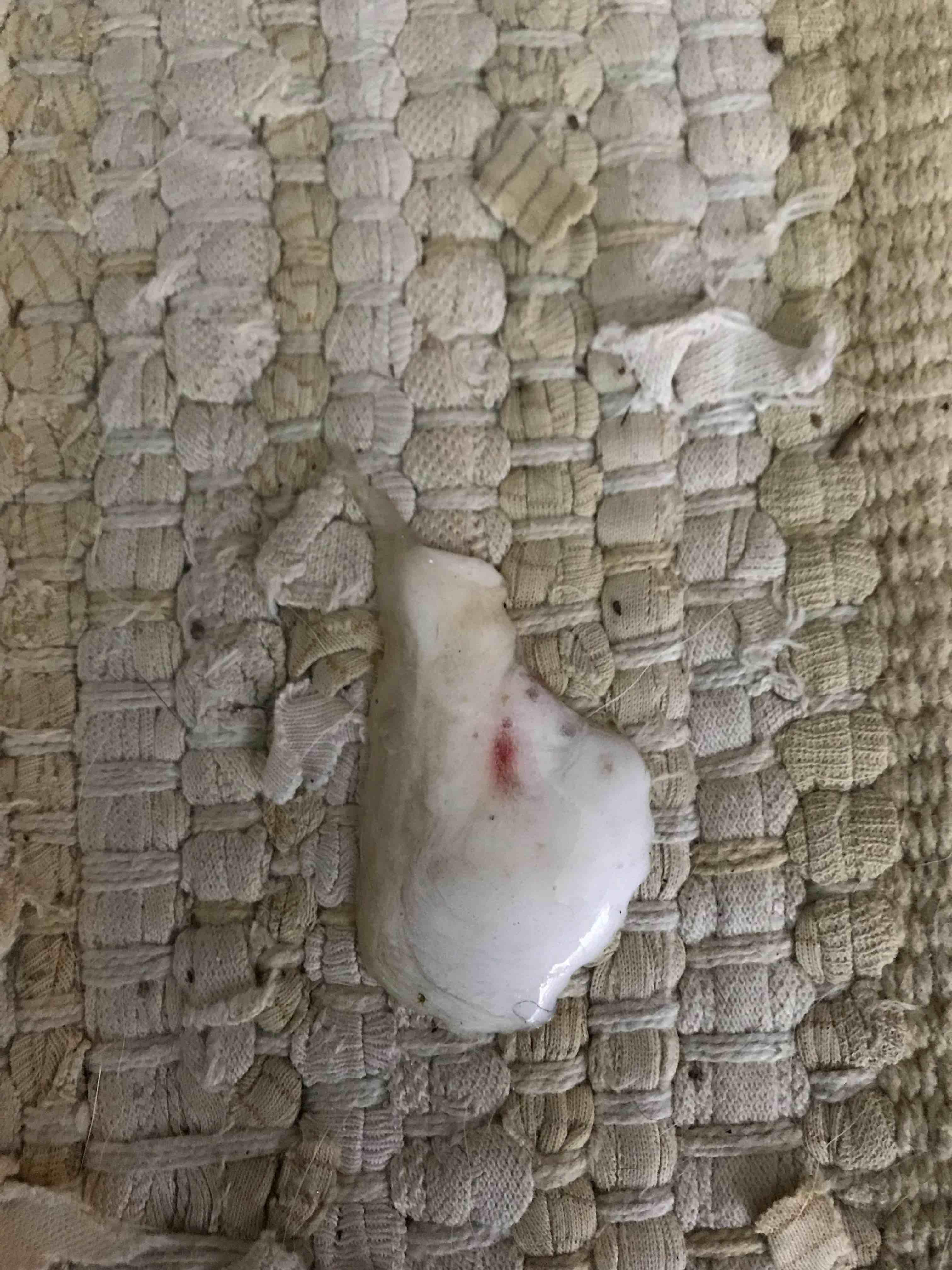 Question details sensitive content