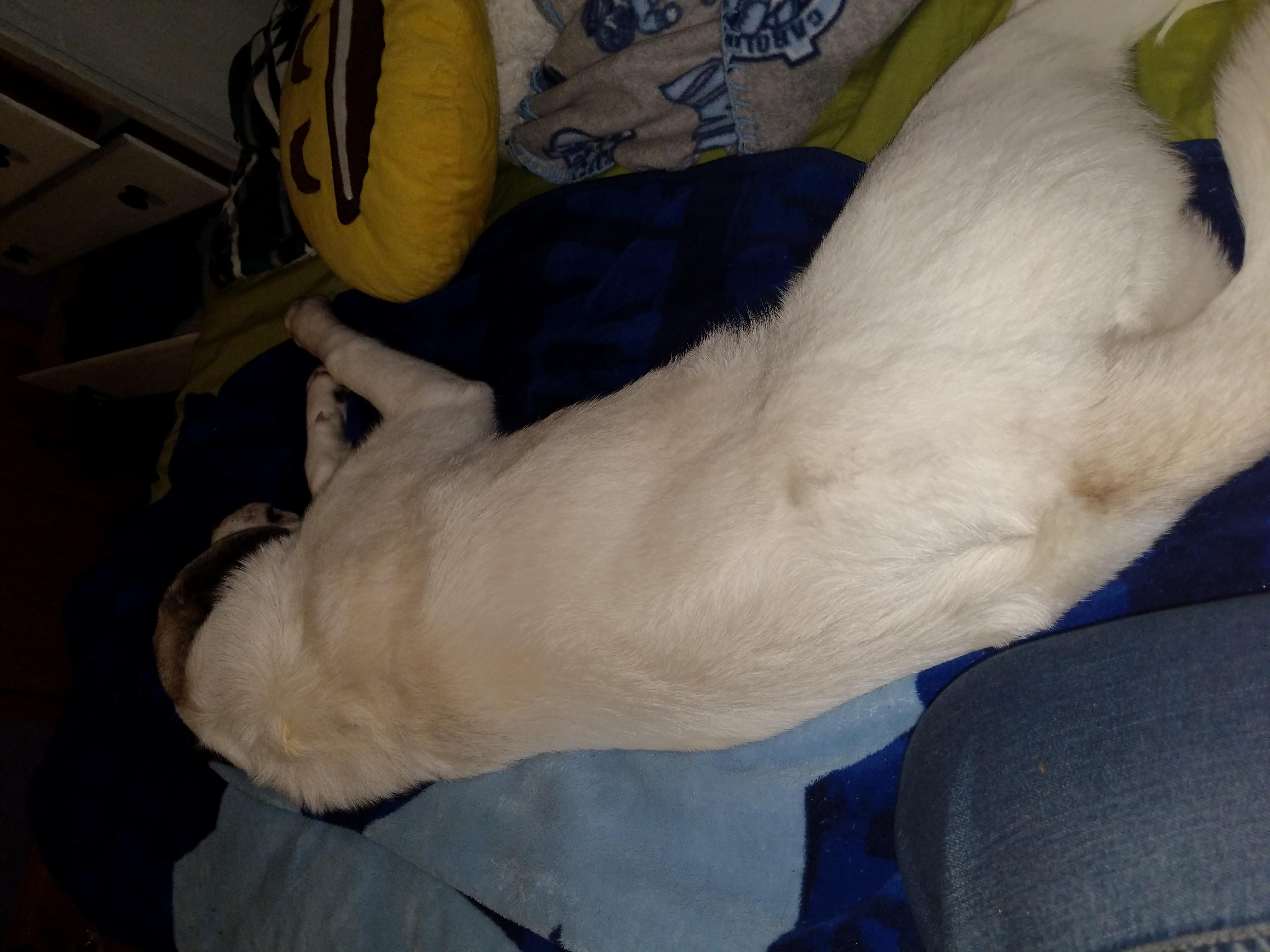 Question details sensitive content