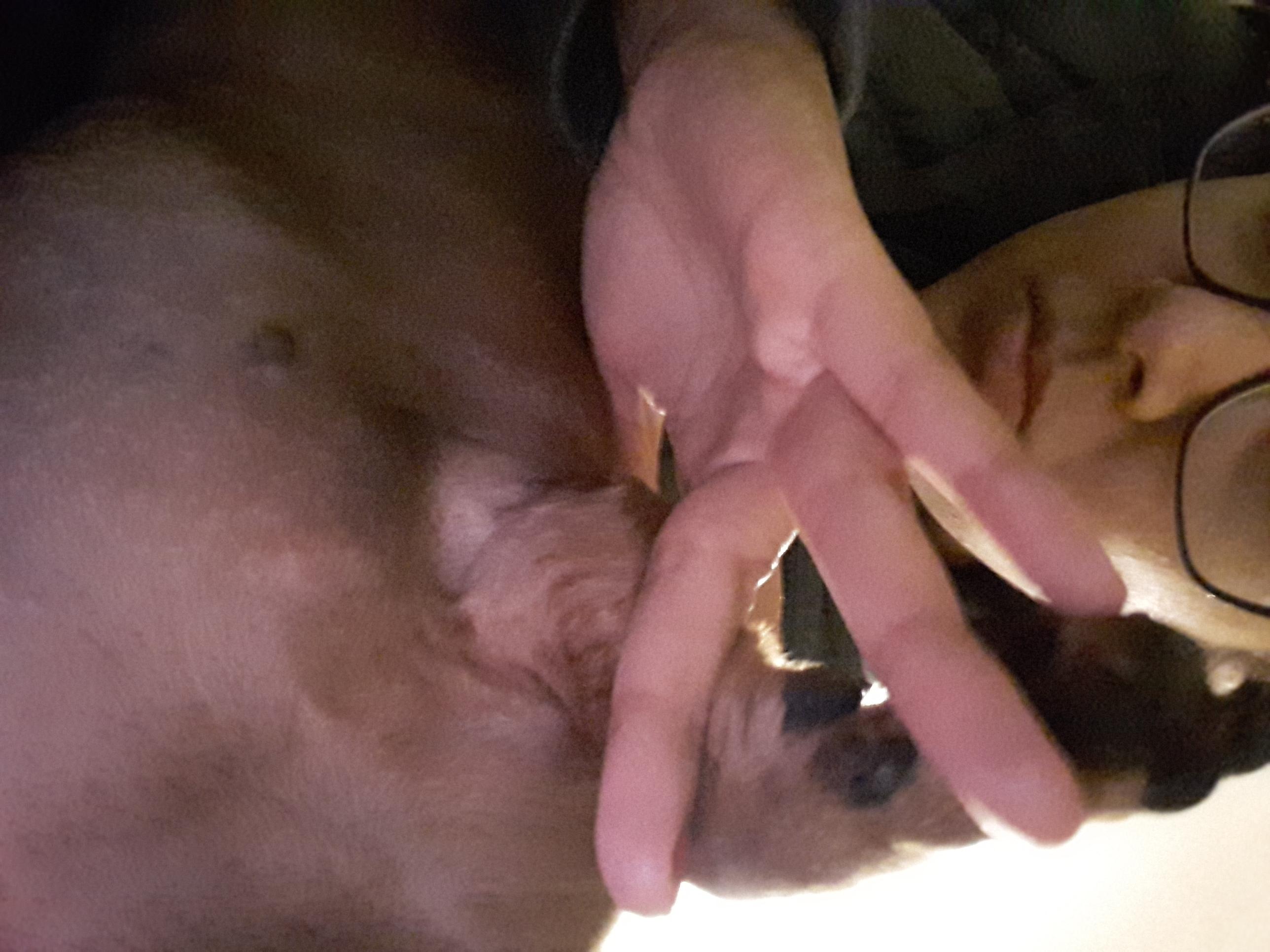 Question details sensitive content