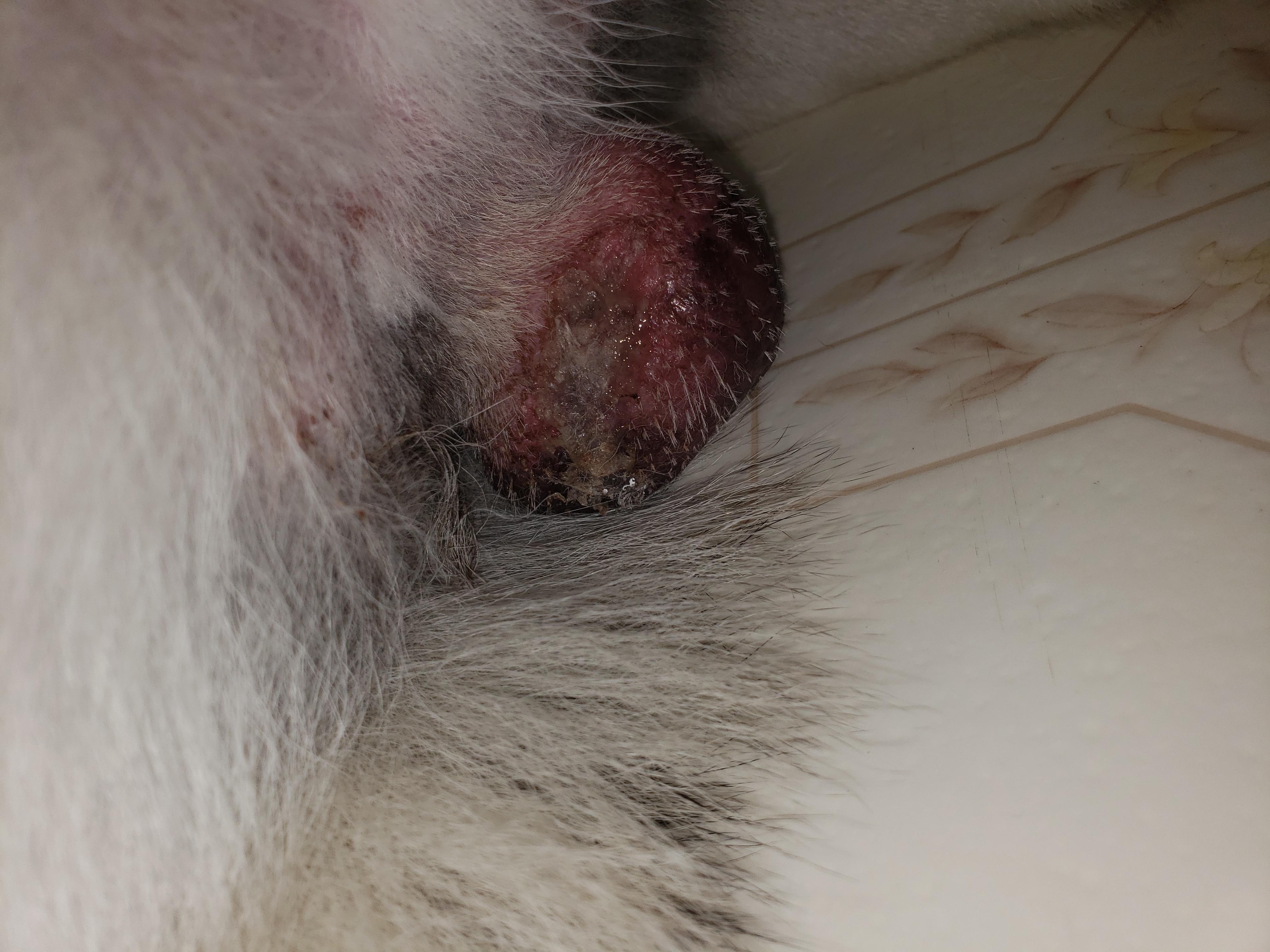 Question details sensitive content