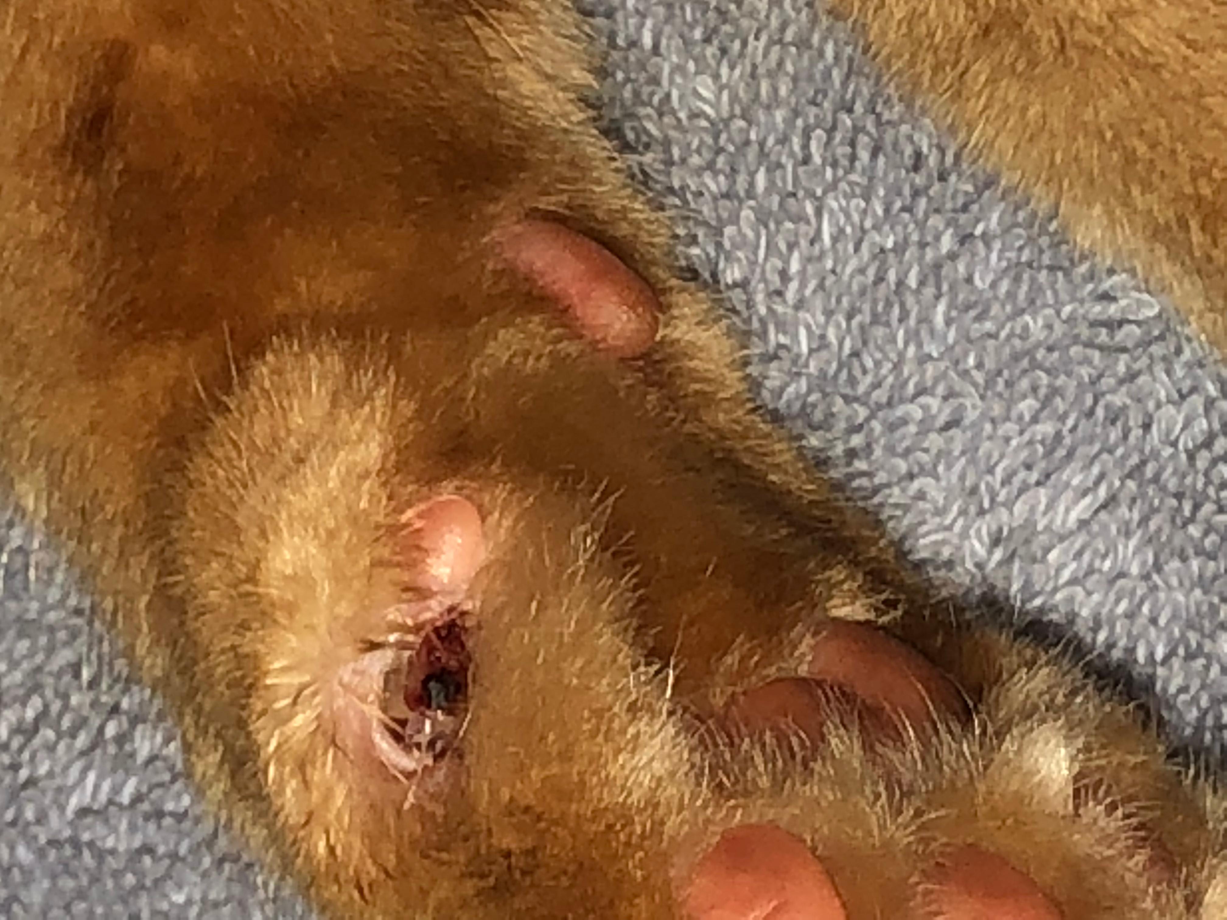 Question details sensitive content