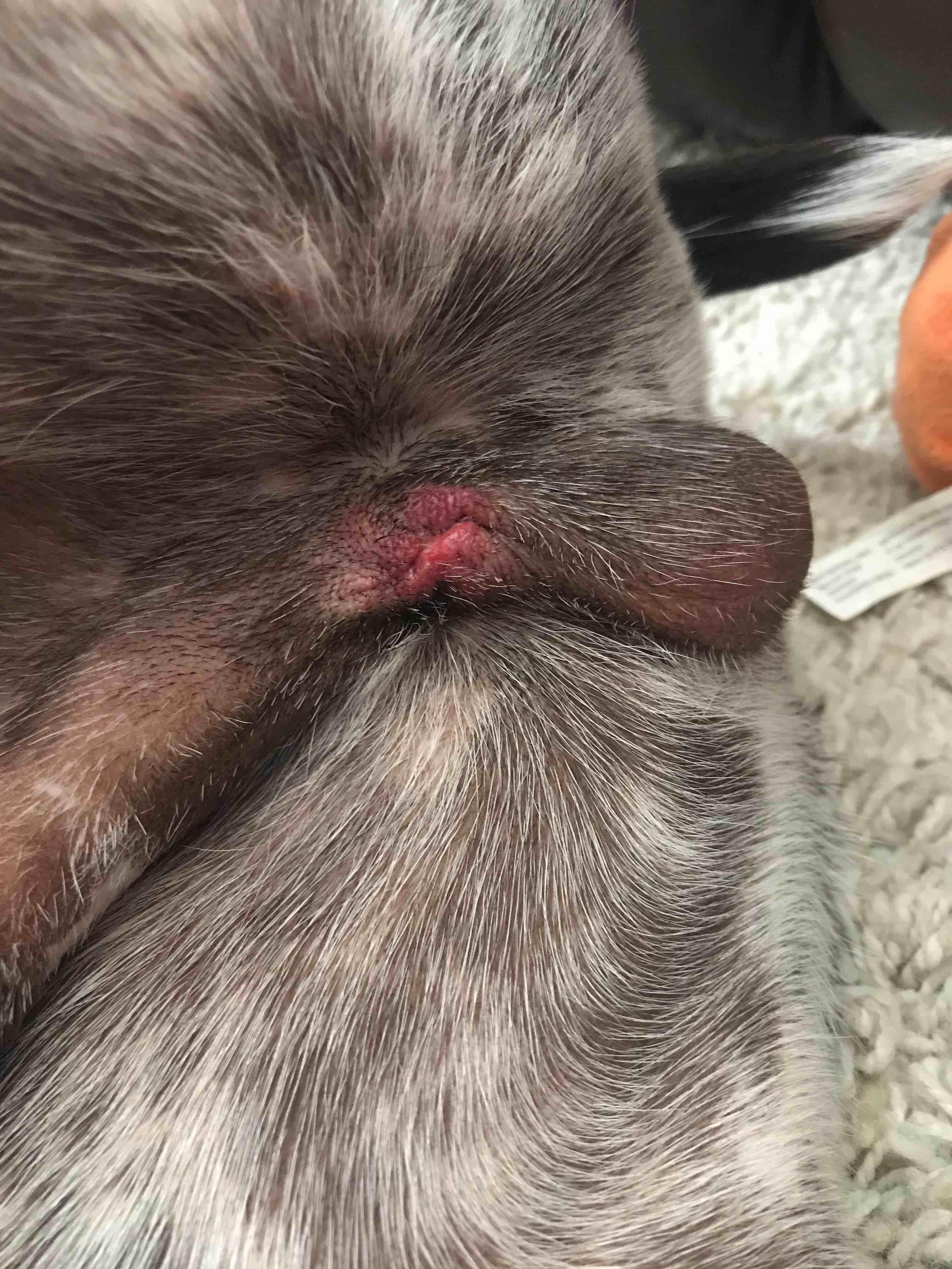 Question details sensitive content