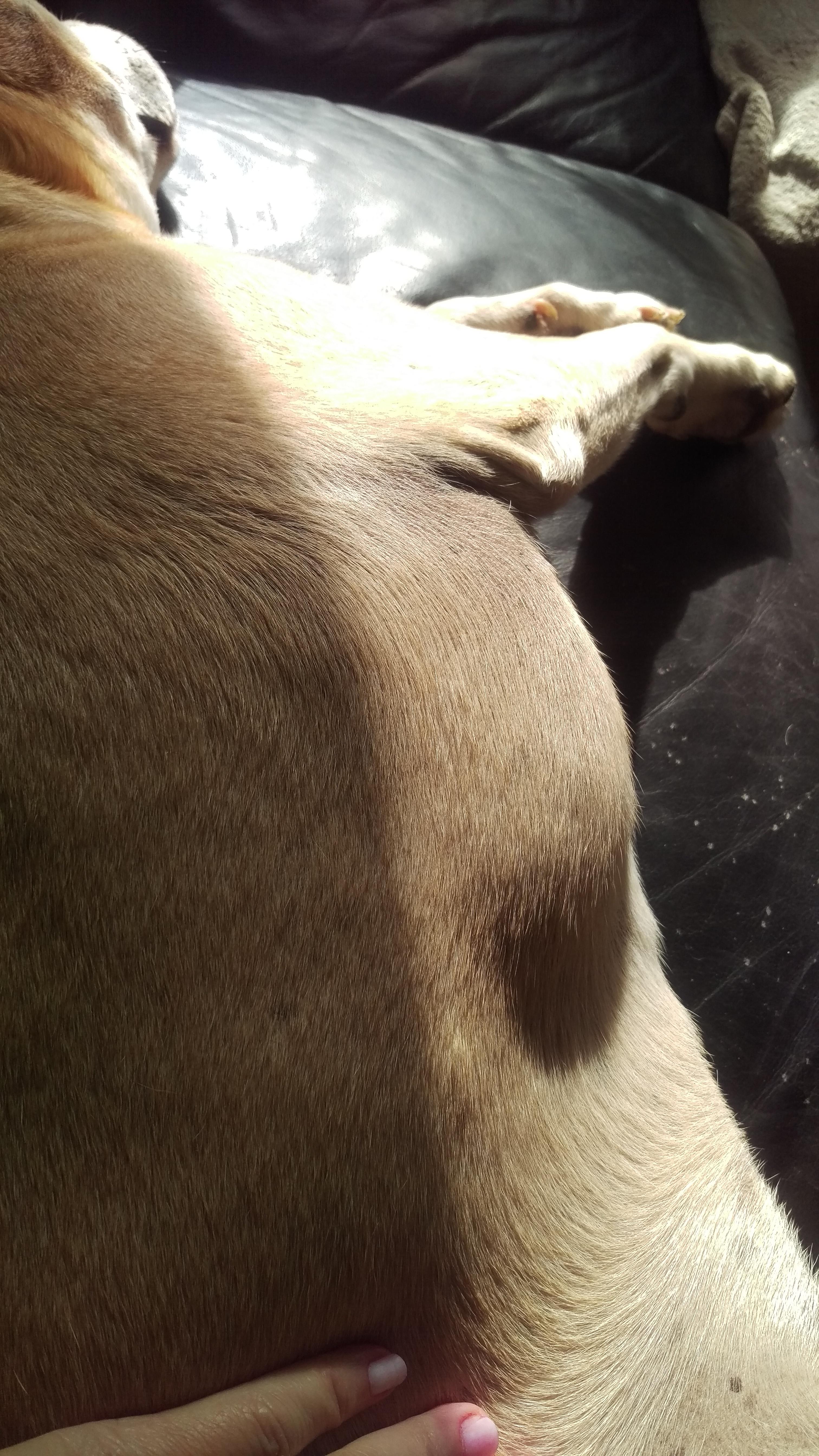 Question details sensitive content