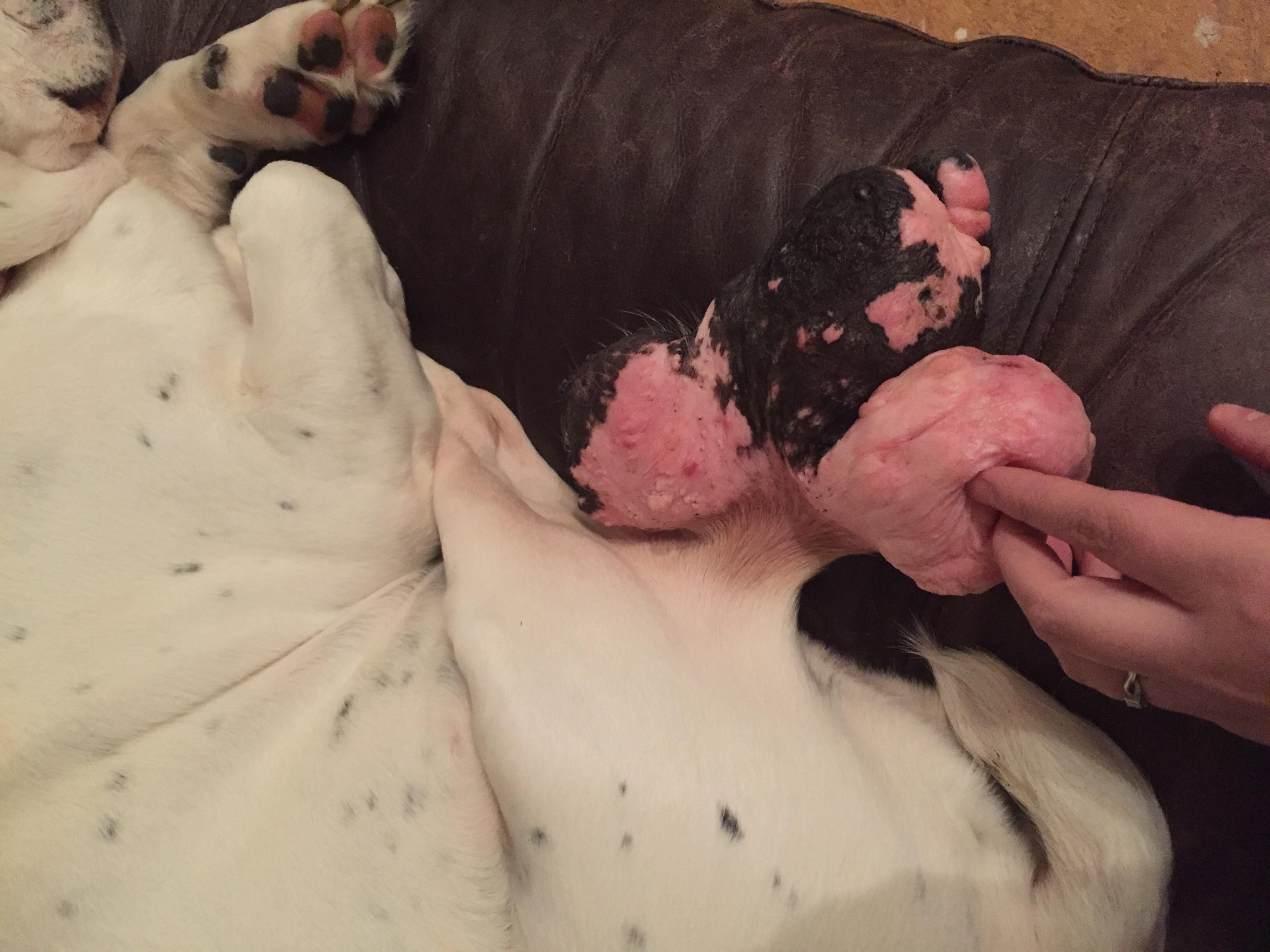 Question details sensitive content