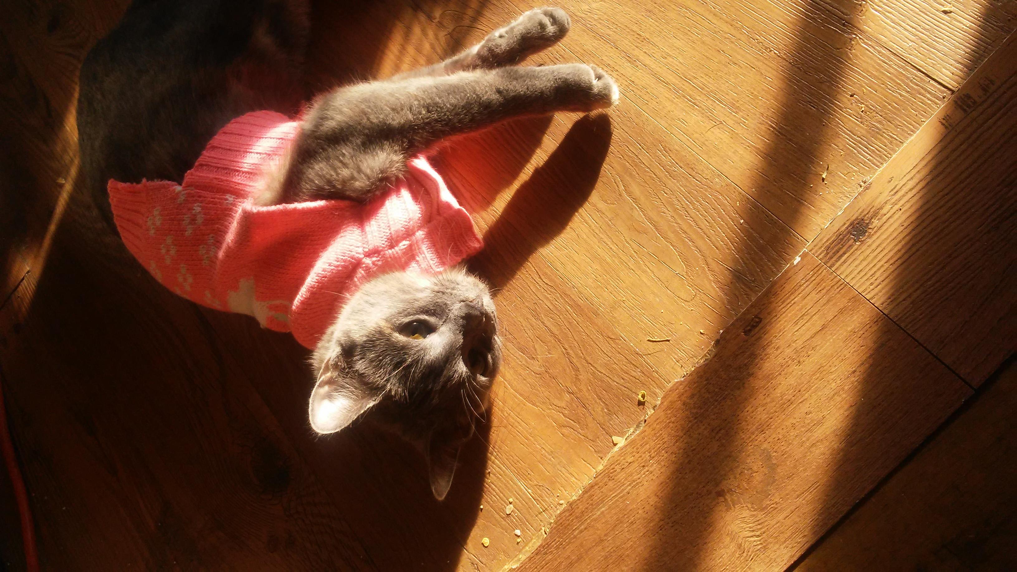 Question details sensitive content