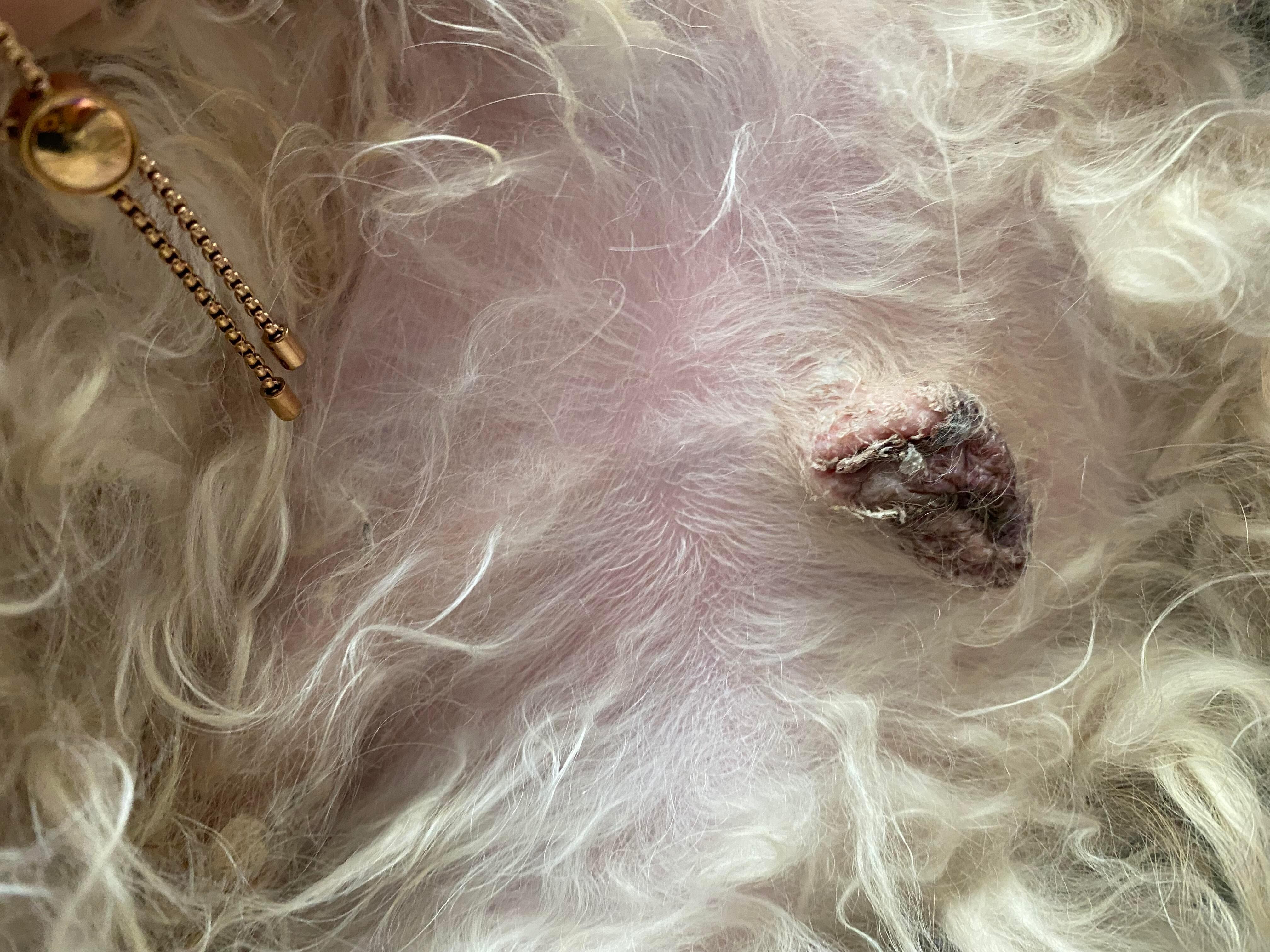 Question details sensitive content