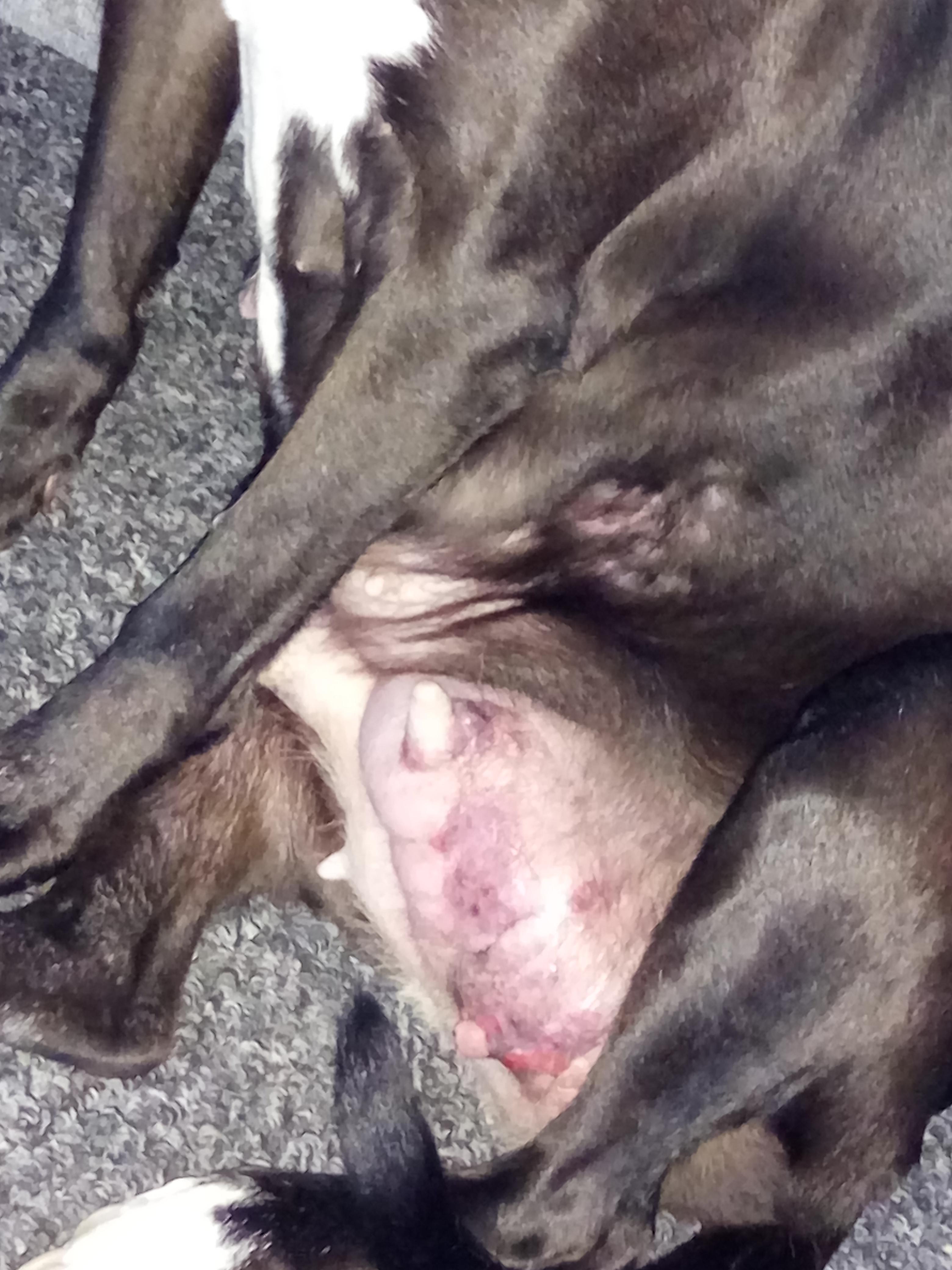 Question details sensitive content