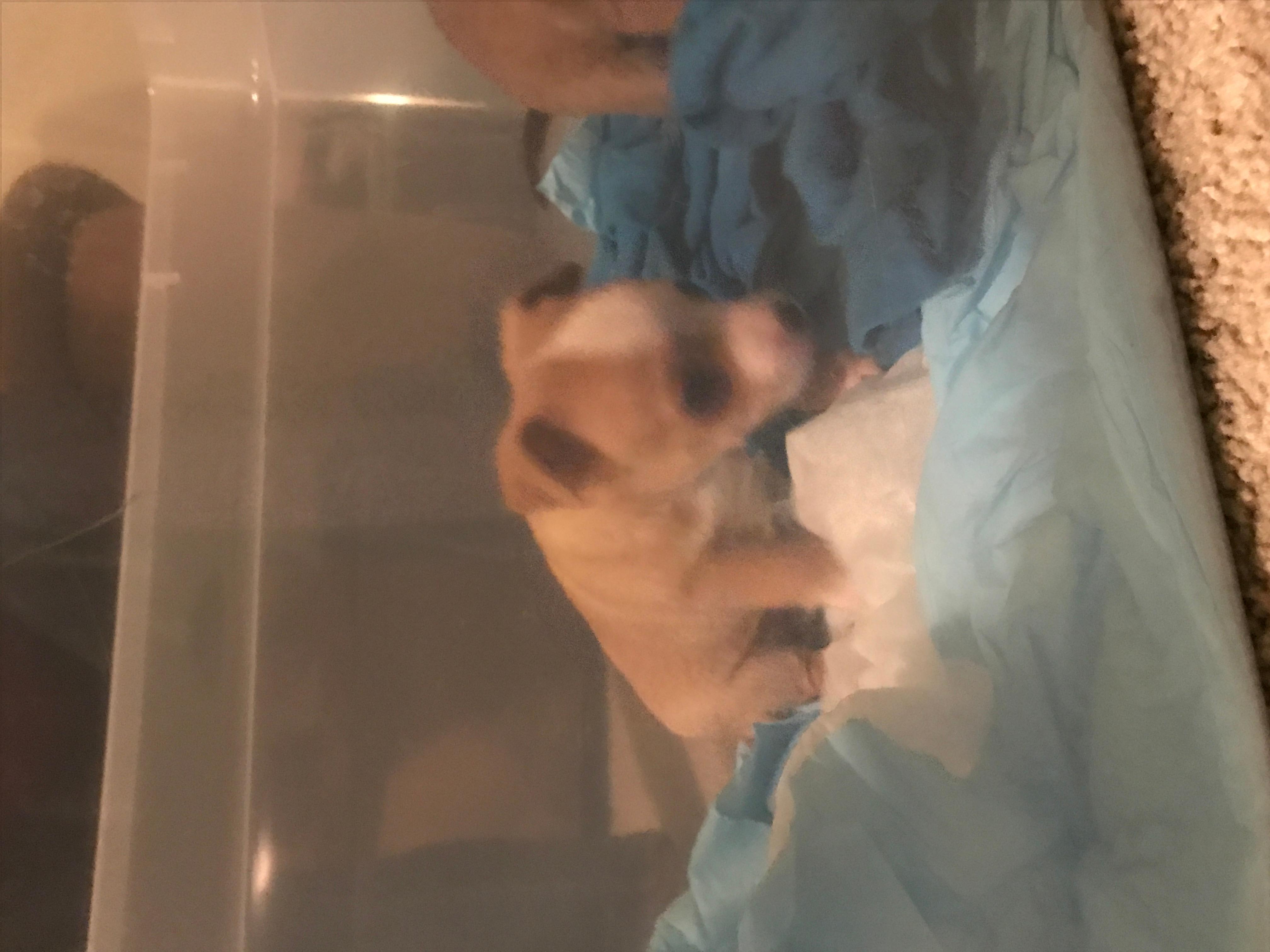 Question details sensitive content