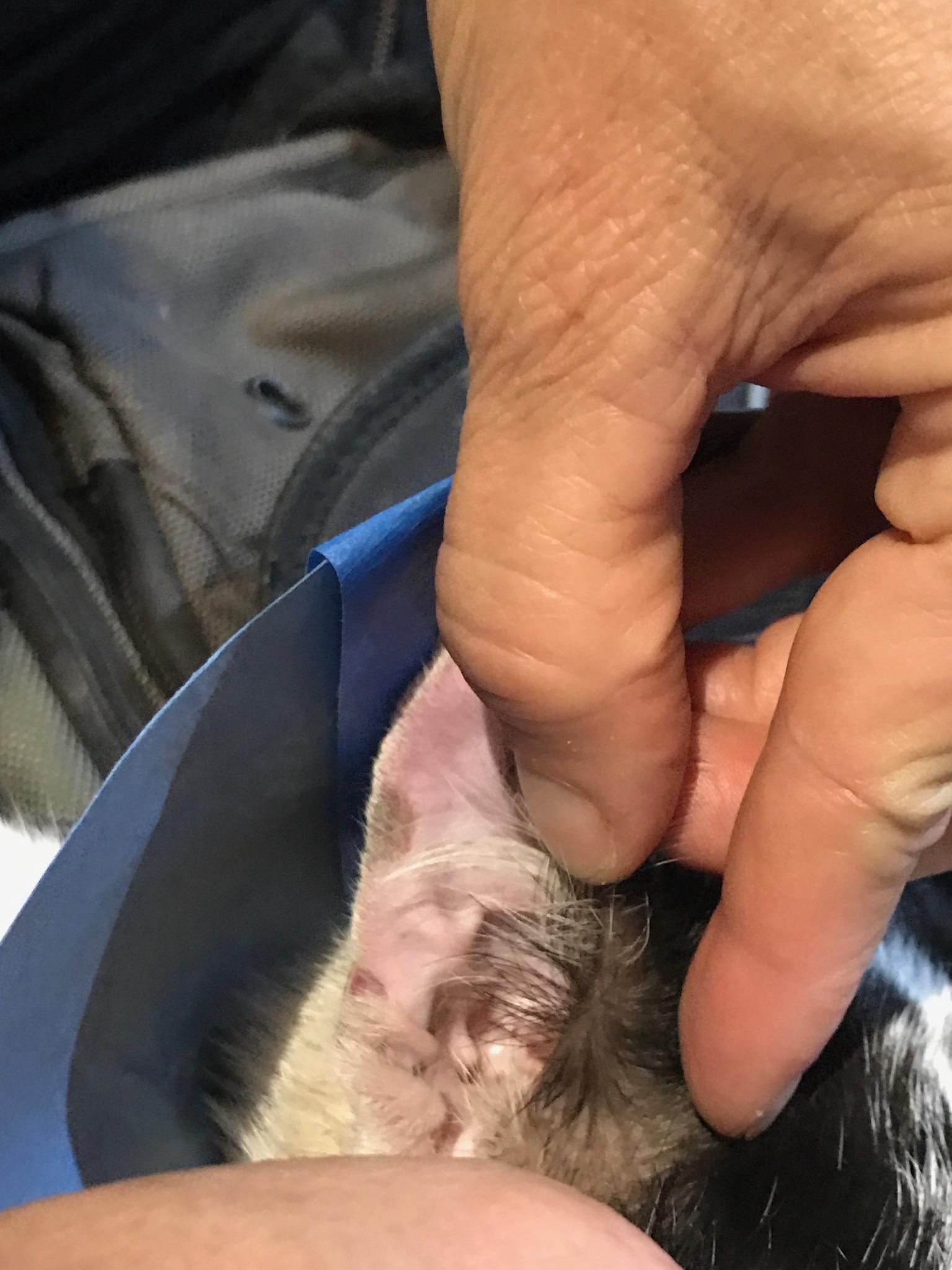 Question details sensitive content