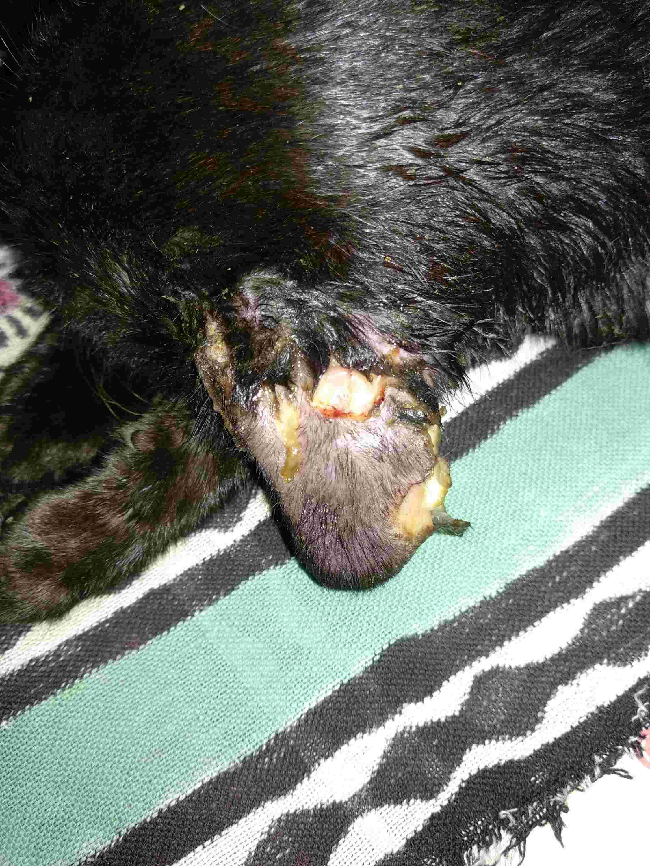 Question details sensitive content