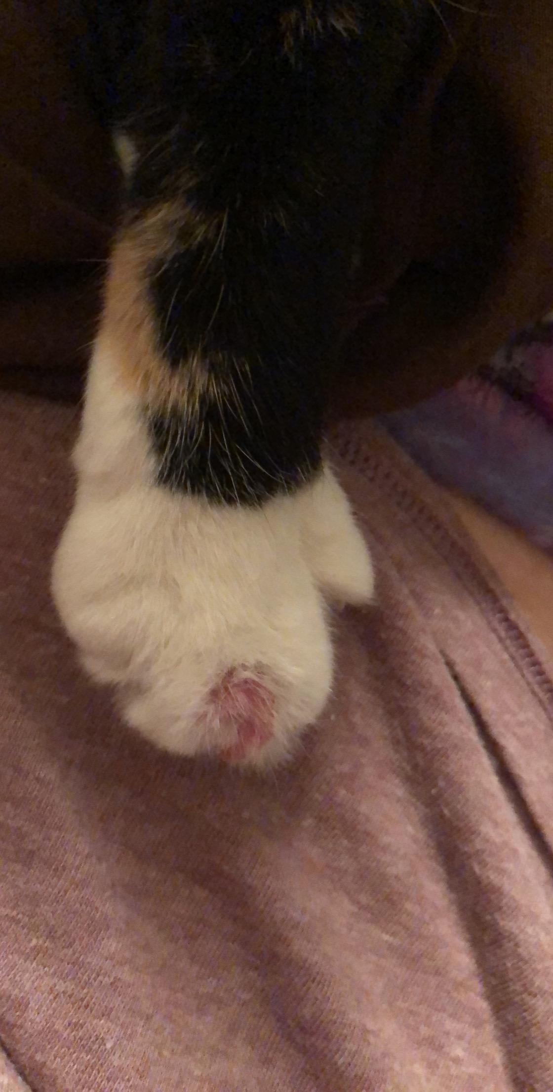 Question details sensitive content