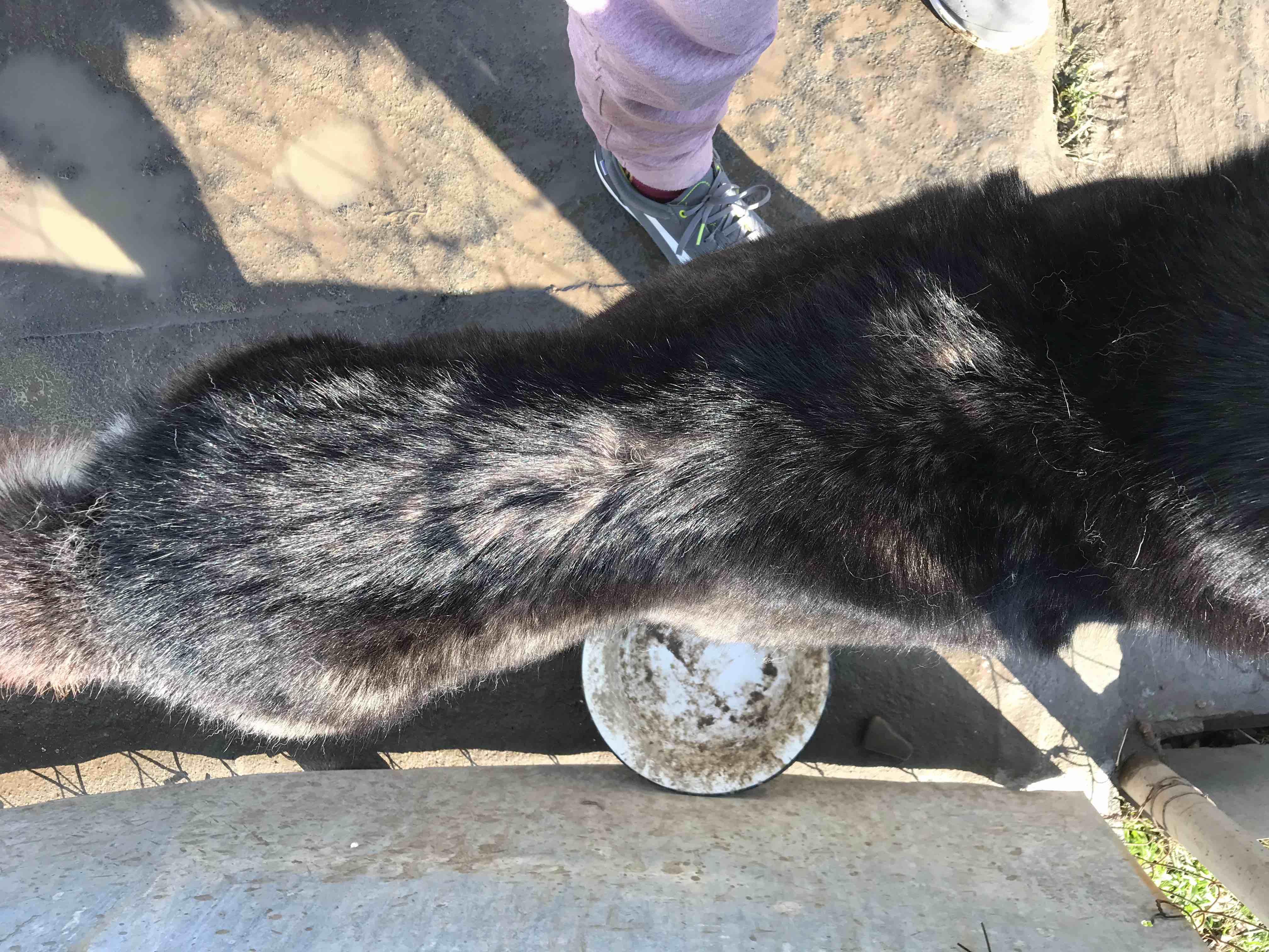 Question details sensitive content