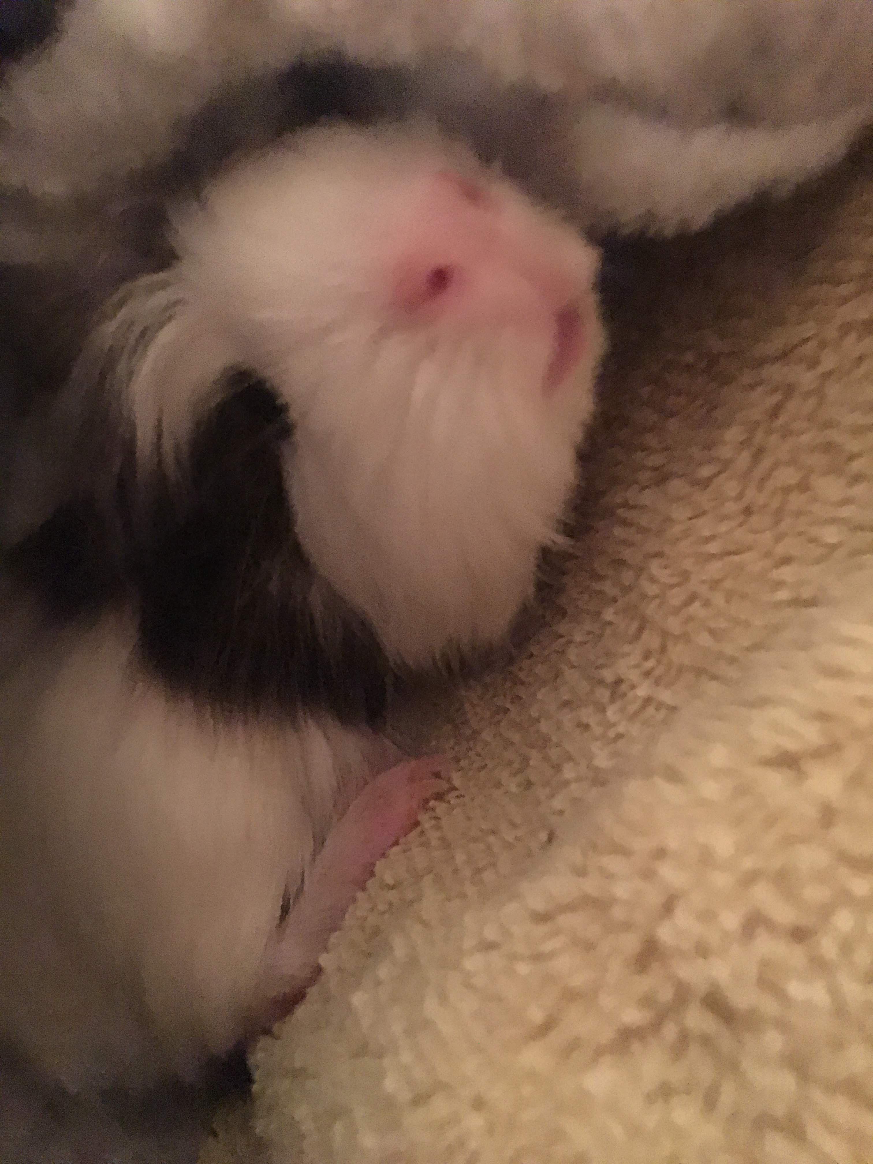 Question details sensitive content