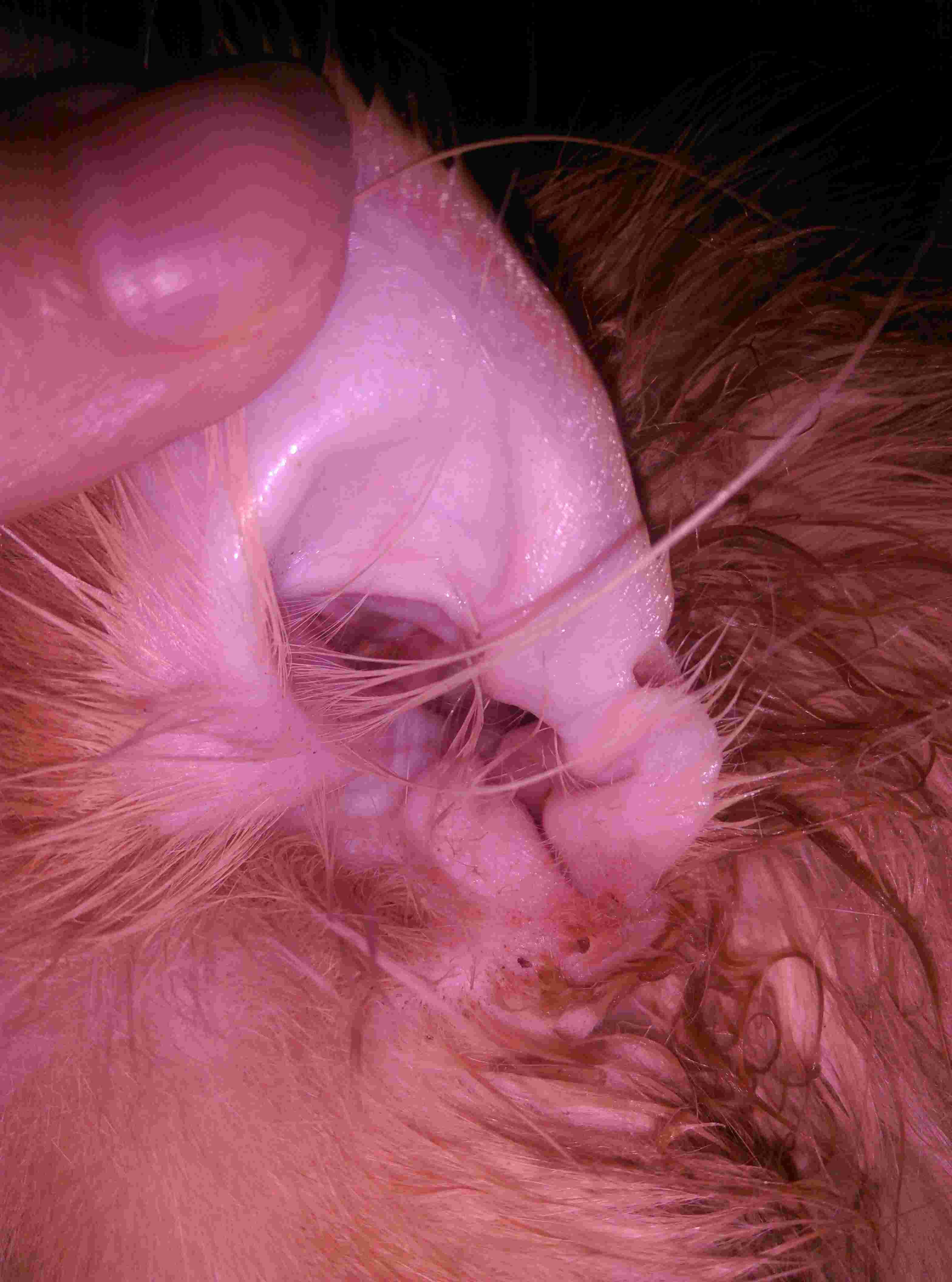 Question details sensitive content