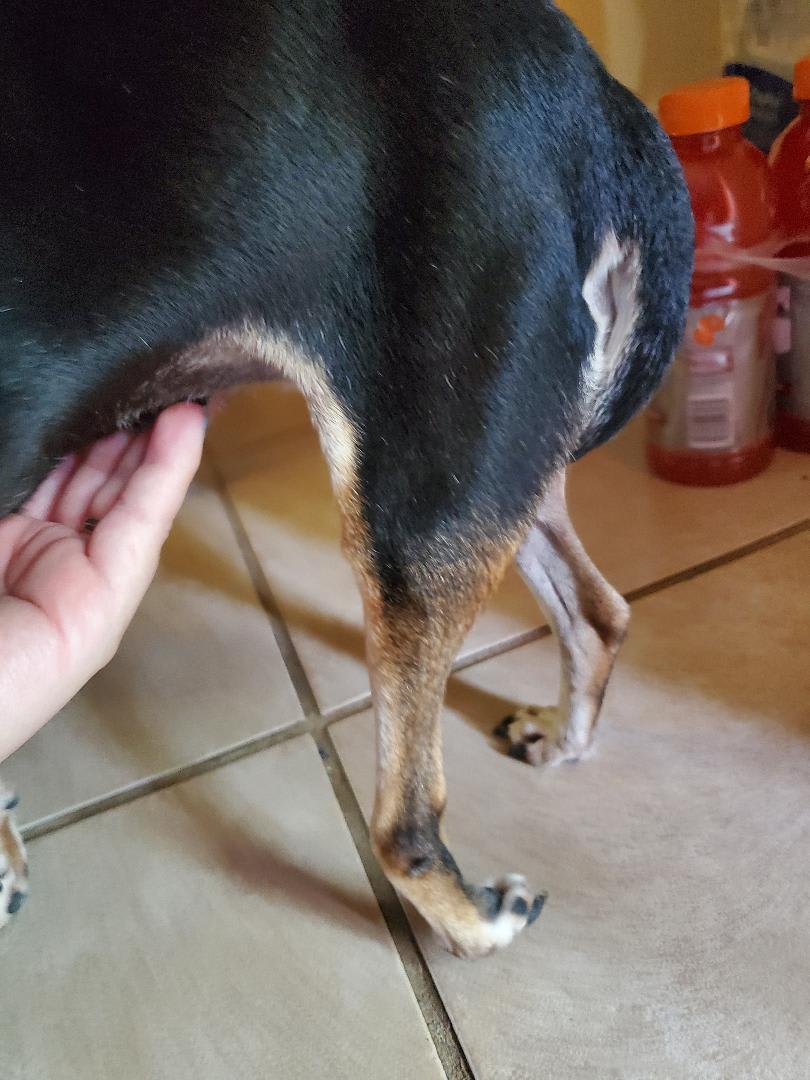 Question details sensitive content