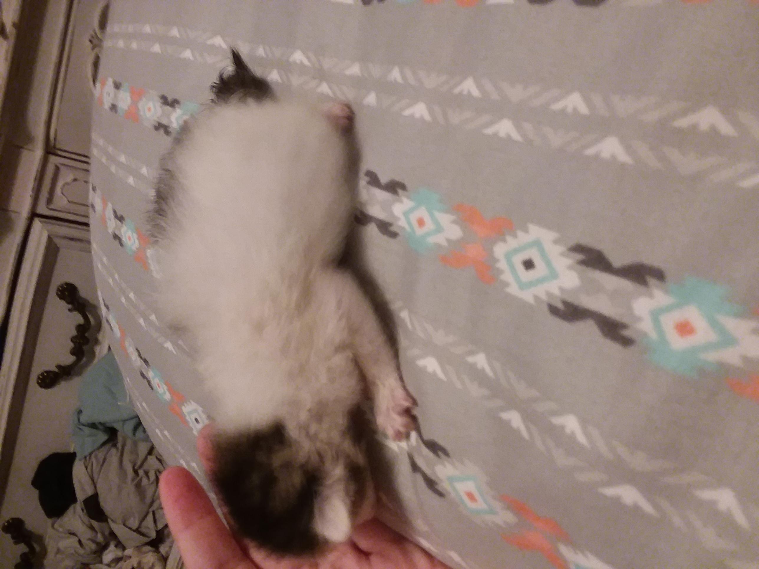 Question details sensitive content