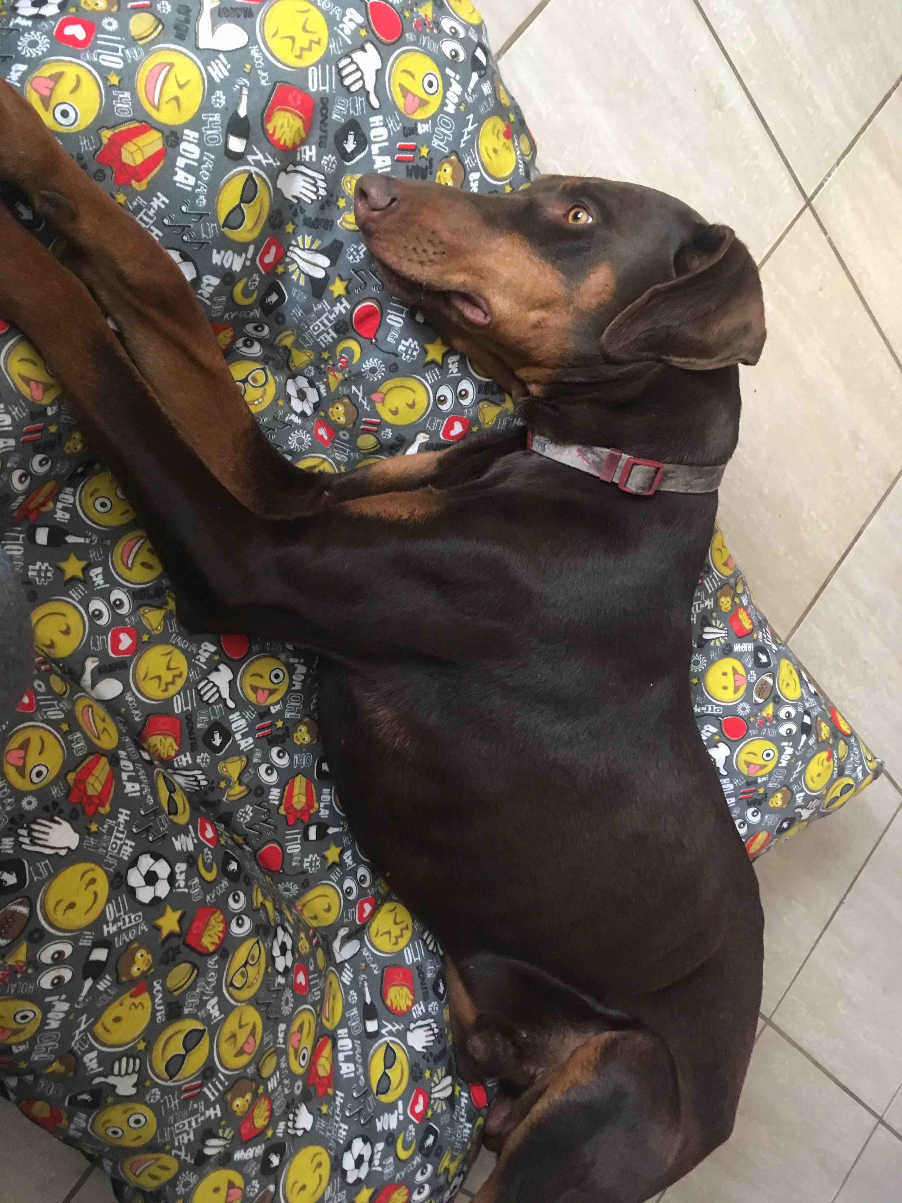 Question details sensitive content