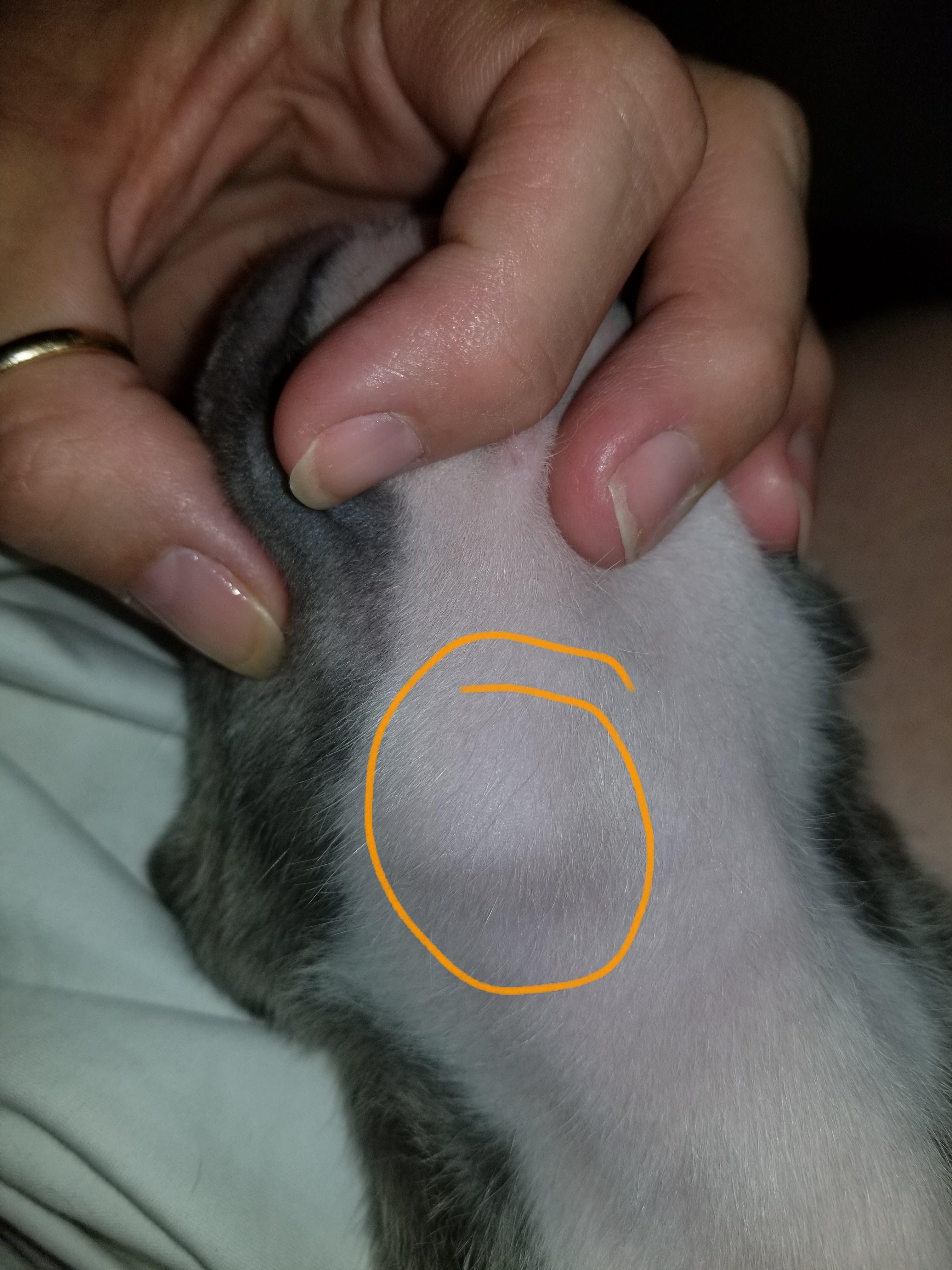 Question details sensitive content