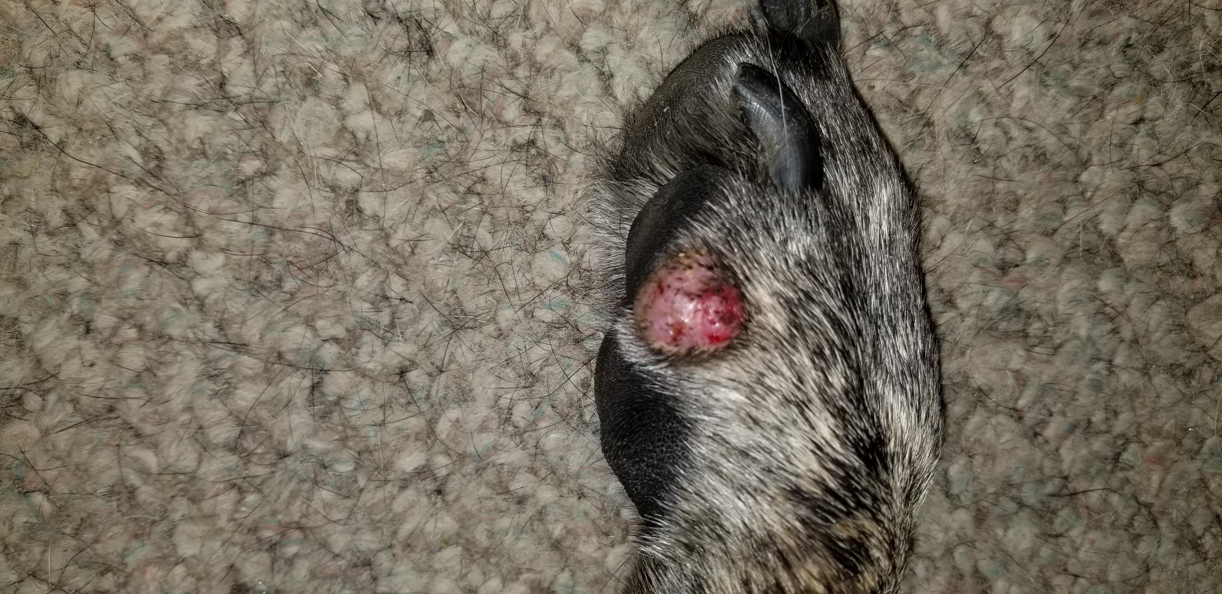 Question details sensitive content