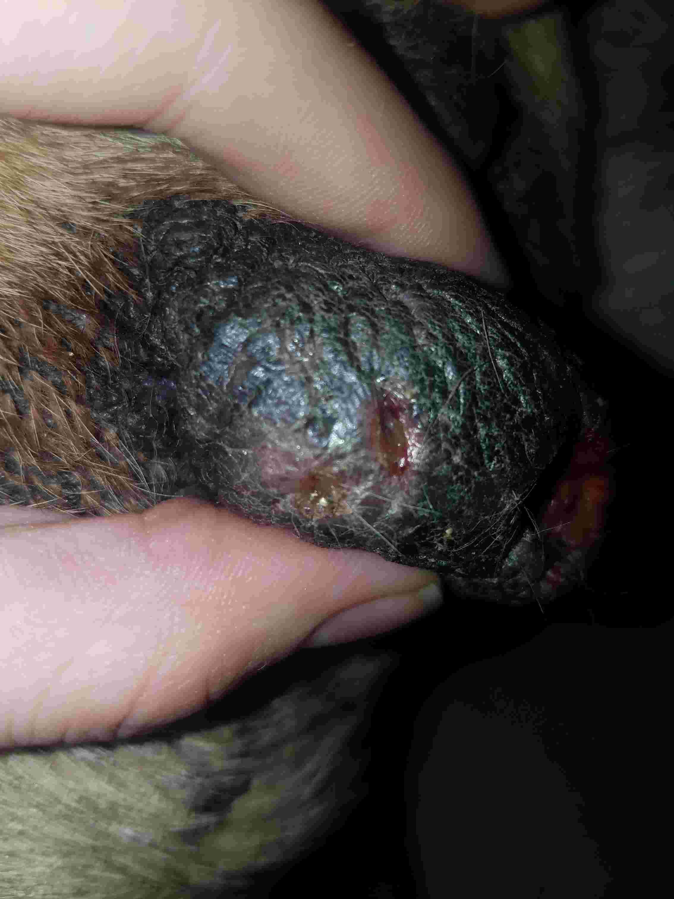 Question details sensitive content