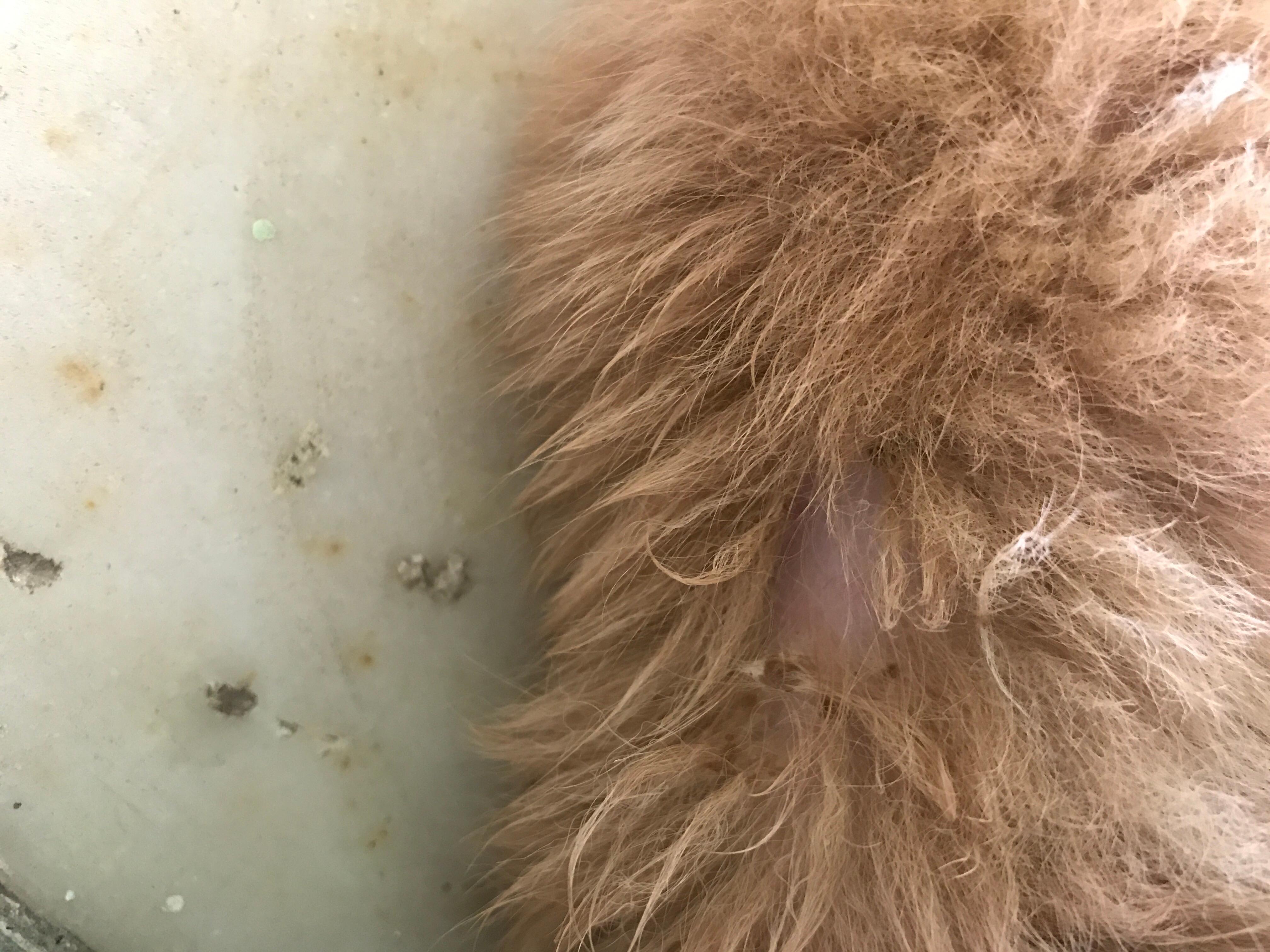 Question details sensitive content