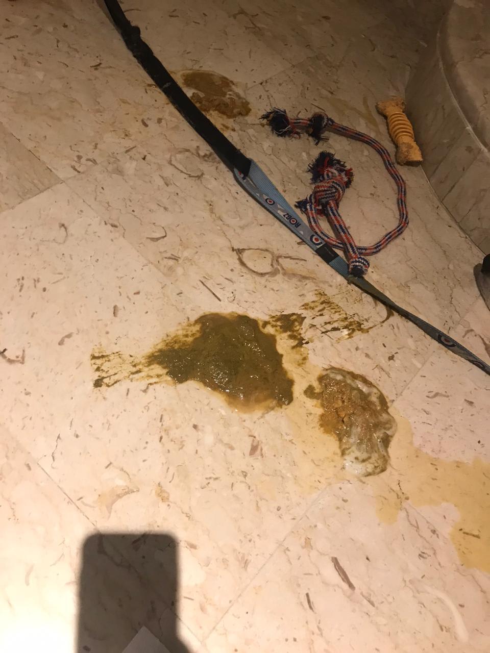 Question details sensitive content